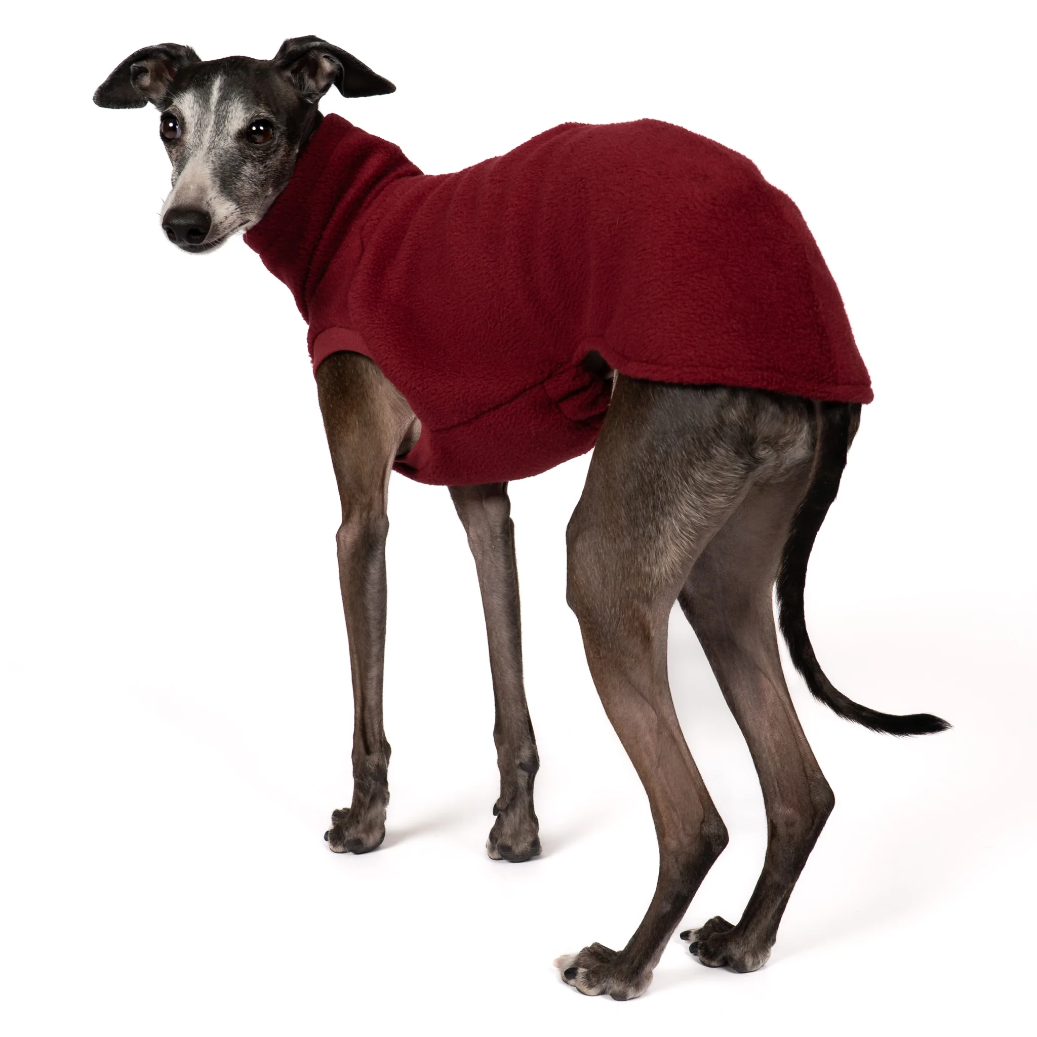 FLEECE SHIRT Iggy Bordeaux - Image 6