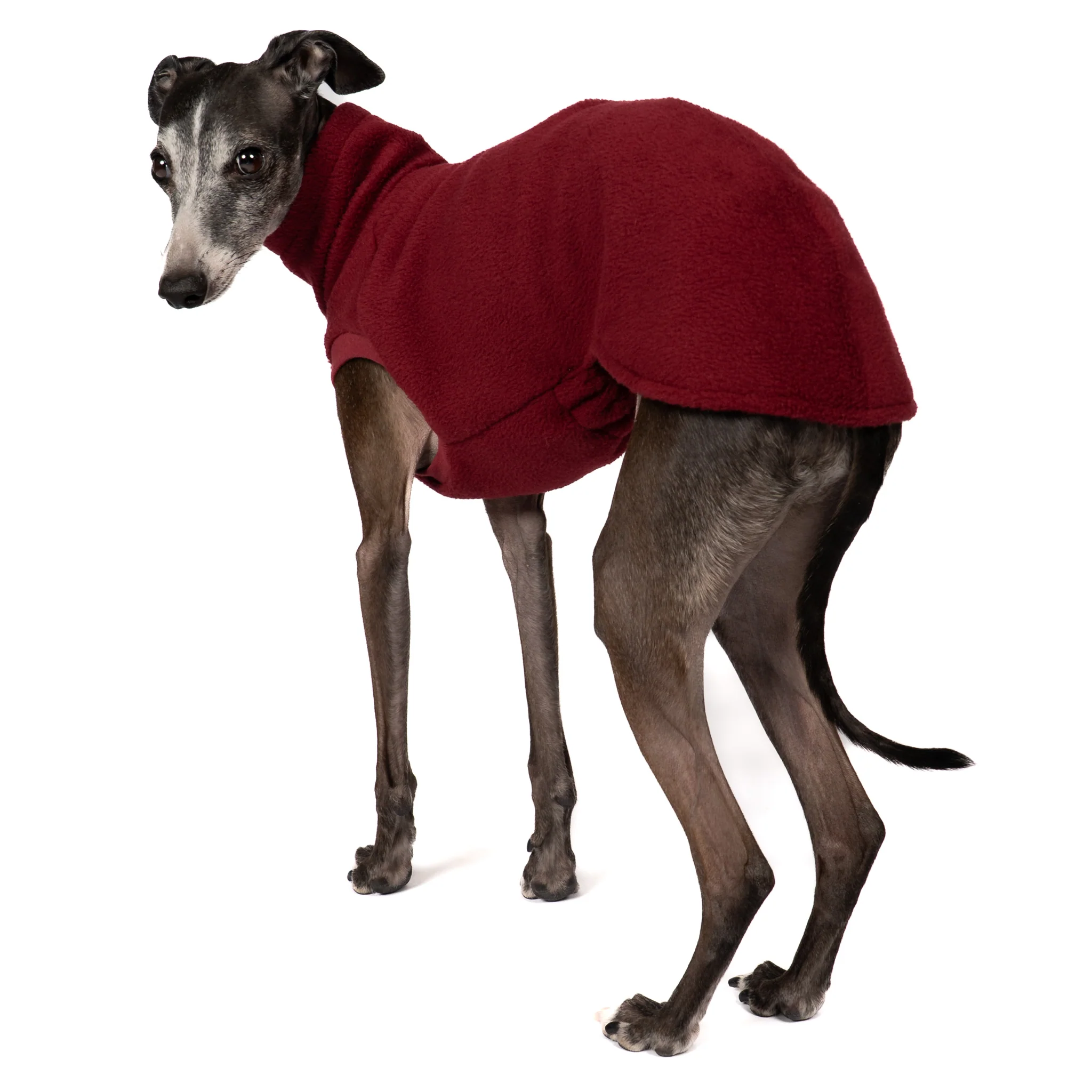 FLEECE SHIRT Iggy Bordeaux - Image 9