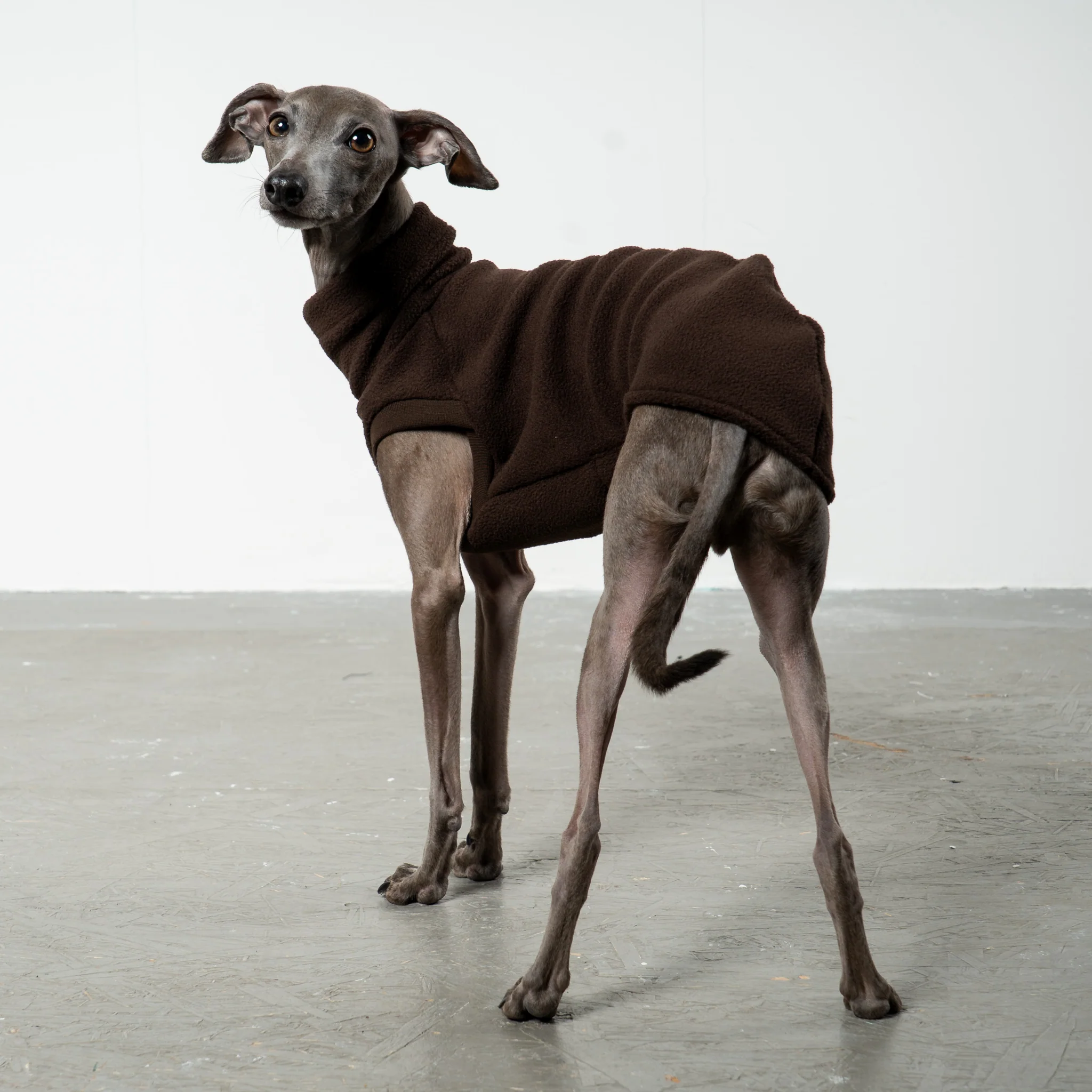 FLEECE SHIRT Iggy Espresso - Image 4