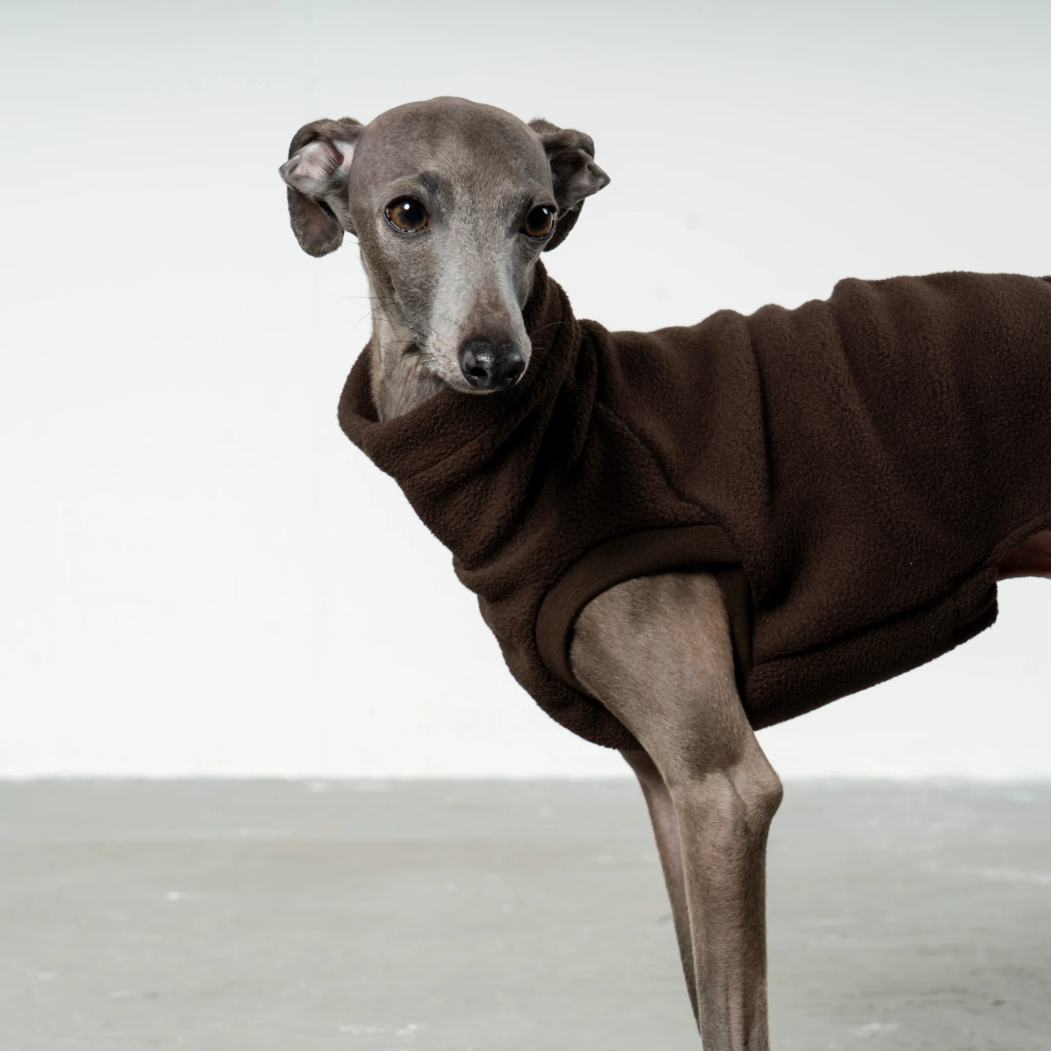 FLEECE SHIRT Iggy Espresso - Image 5