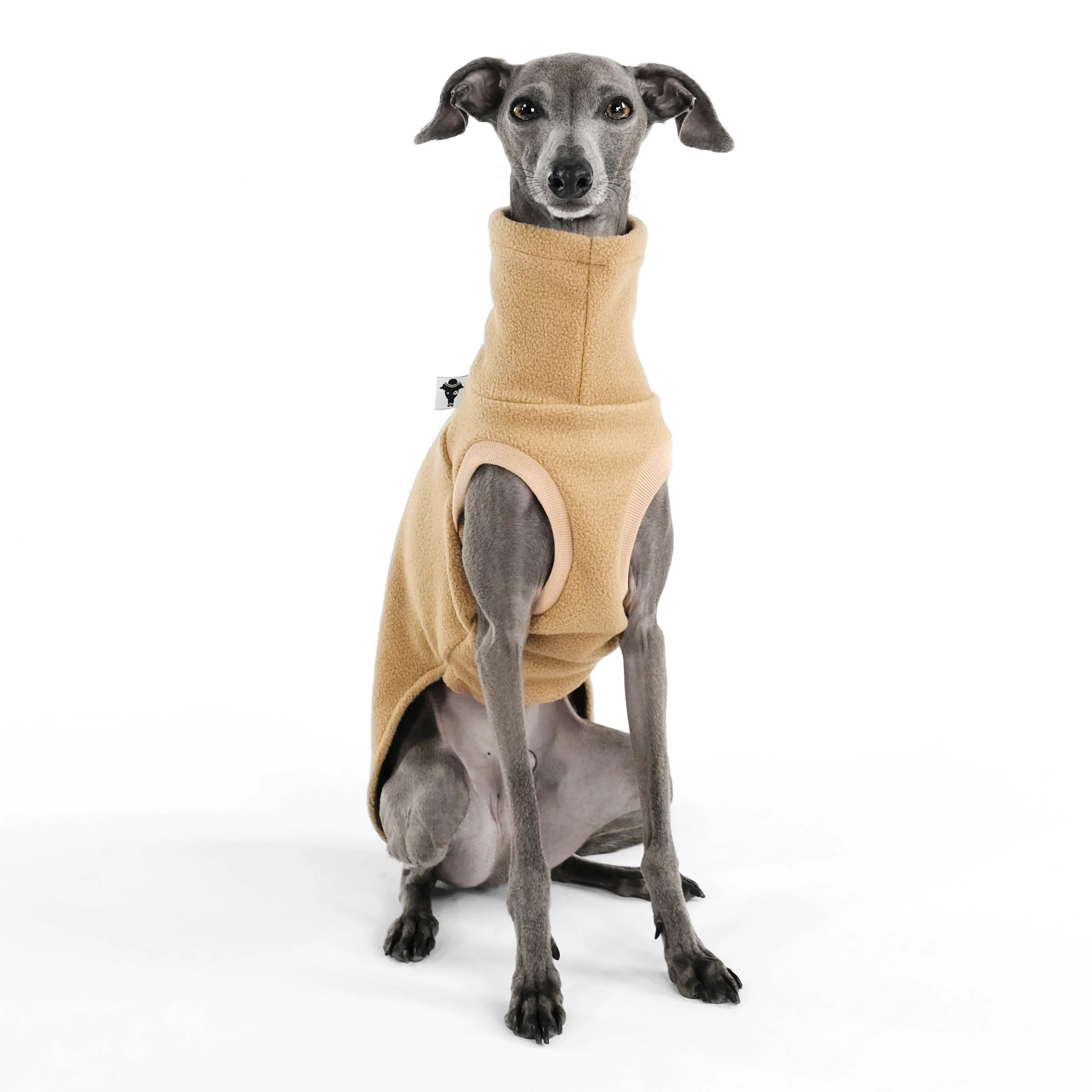 FLEECE SHIRT Iggy Camel - Image 4