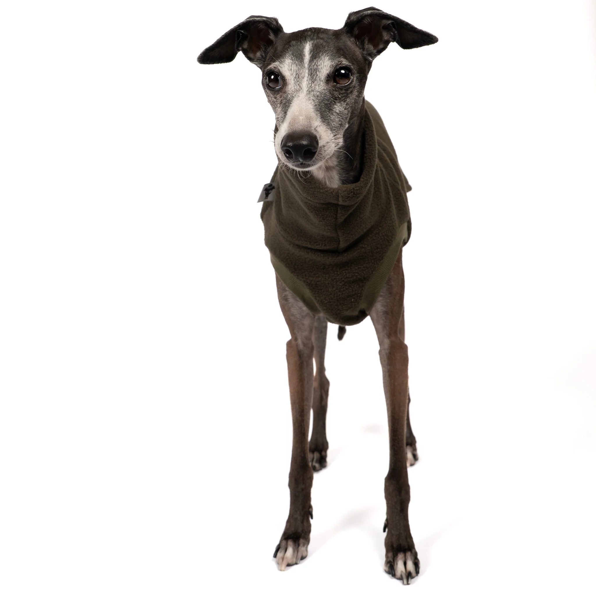 FLEECE SHIRT Iggy Dark Olive - Image 4