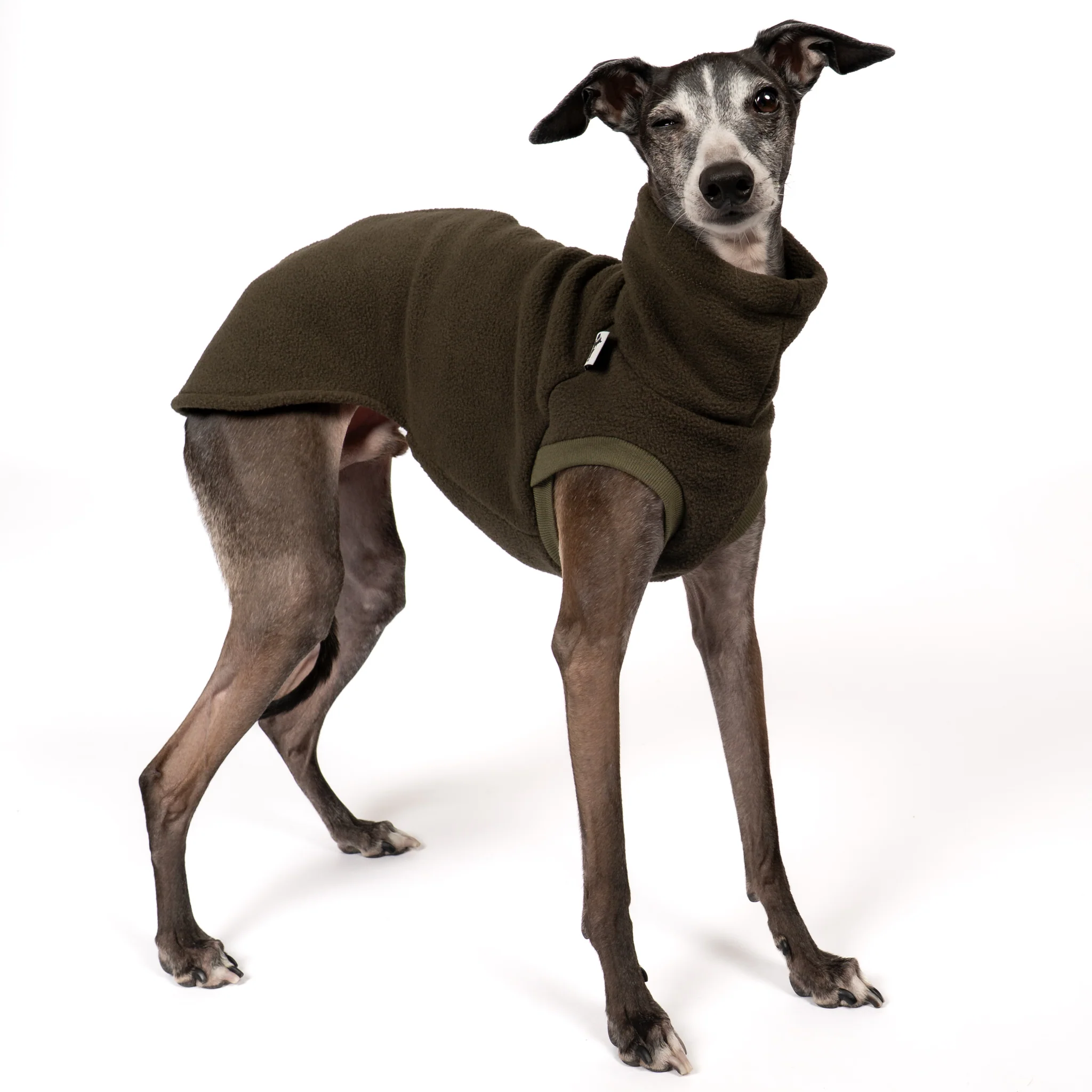 FLEECE SHIRT Iggy Dark Olive - Image 5