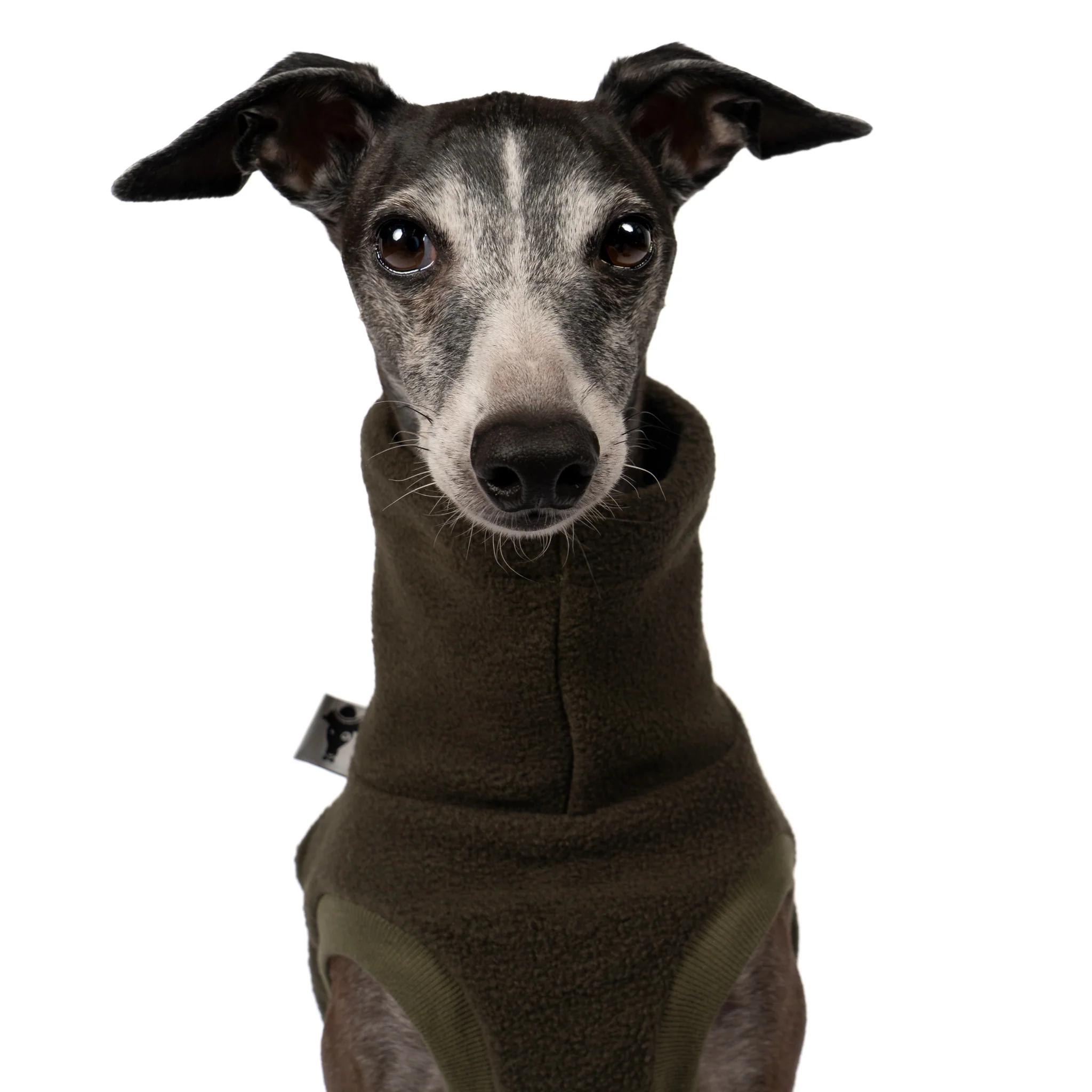 FLEECE SHIRT Iggy Dark Olive - Image 6
