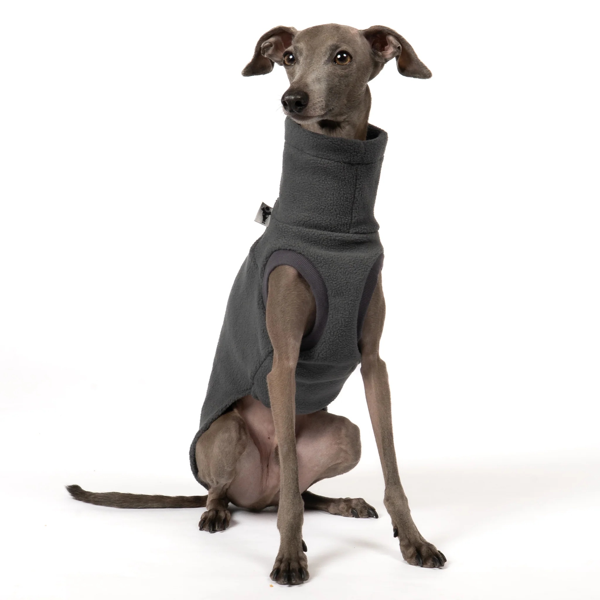 FLEECE SHIRT Iggy Graphite - Image 5