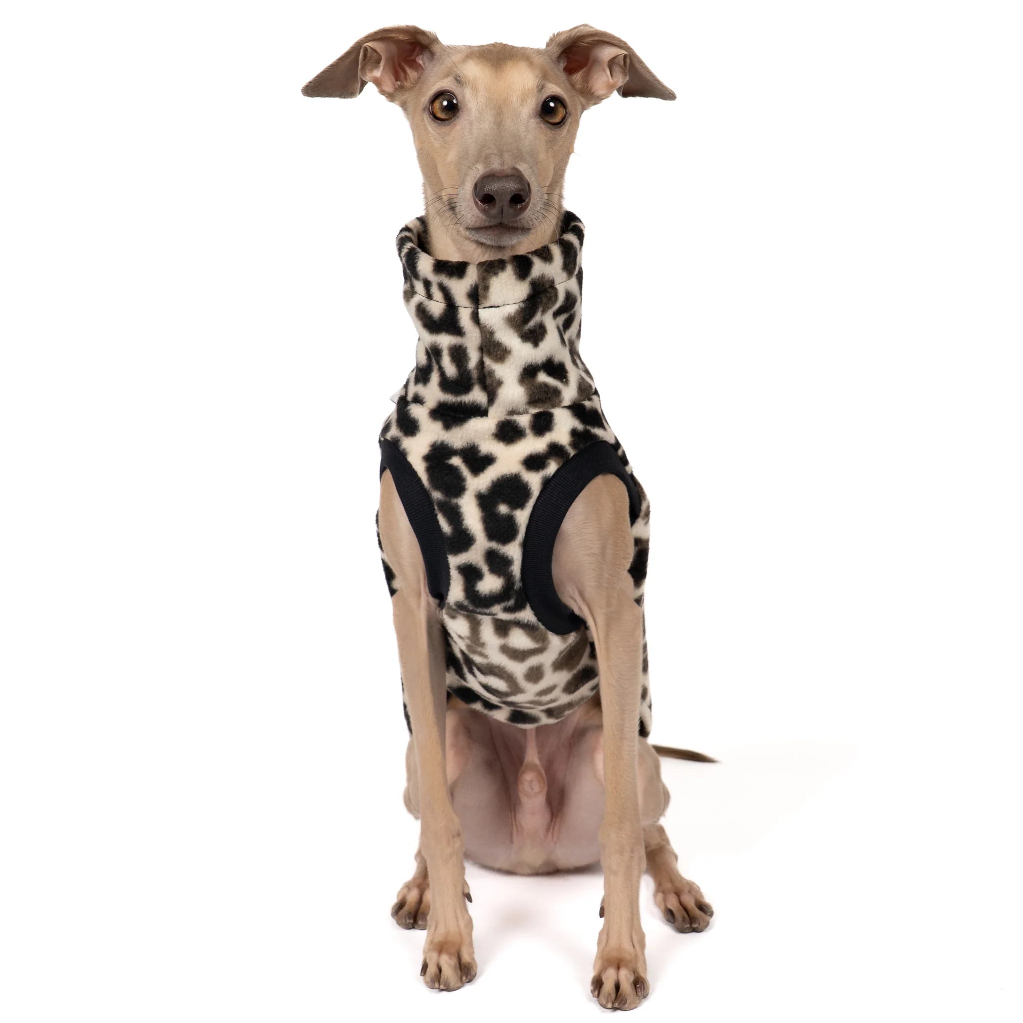 FLEECE SHIRT Iggy Leo - Image 4