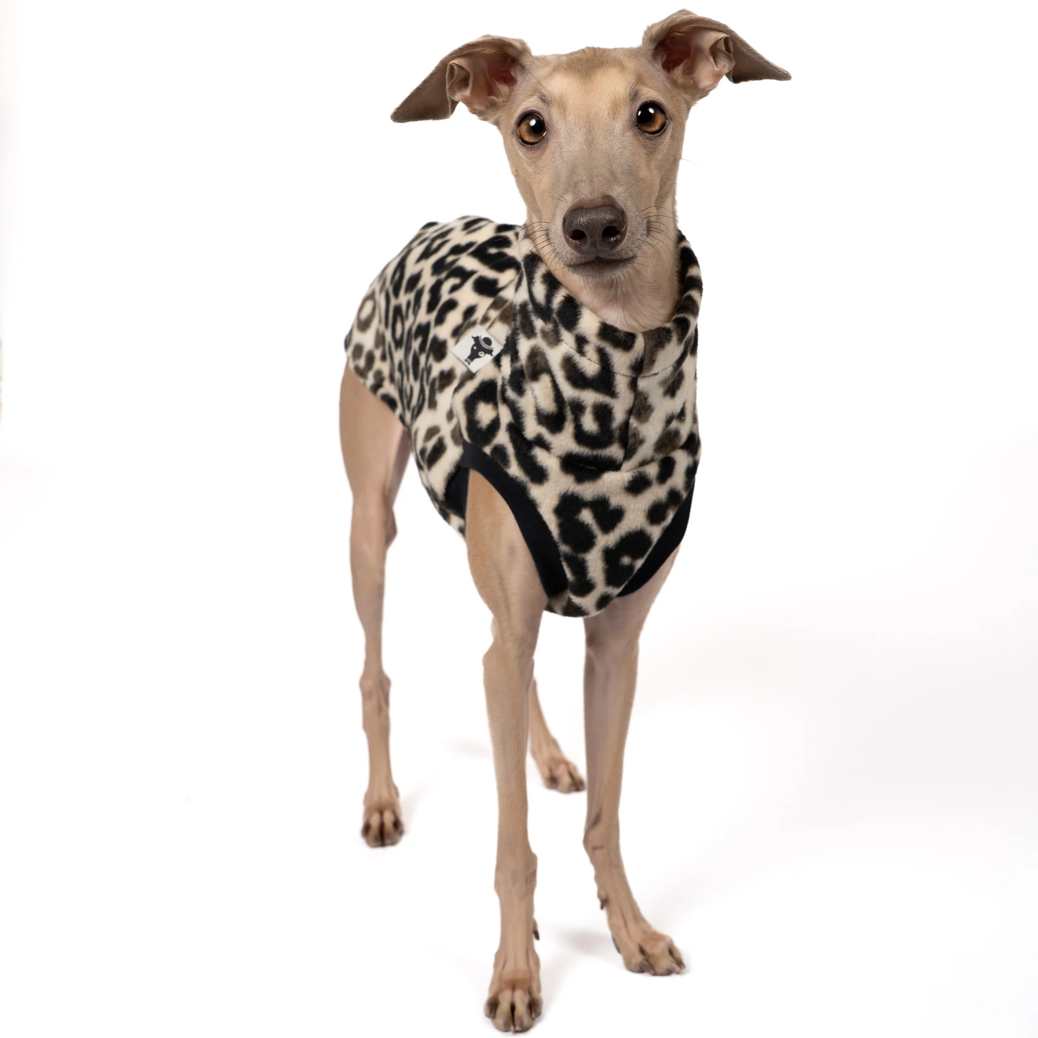 FLEECE SHIRT Iggy Leo - Image 5