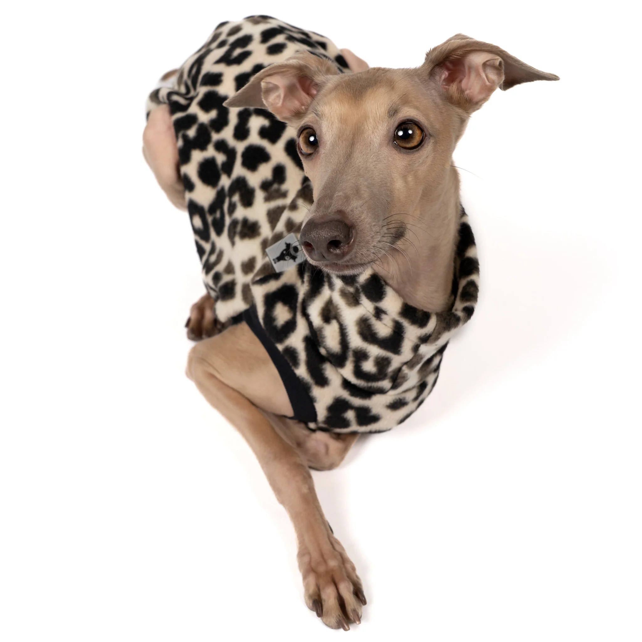 FLEECE SHIRT Iggy Leo - Image 6