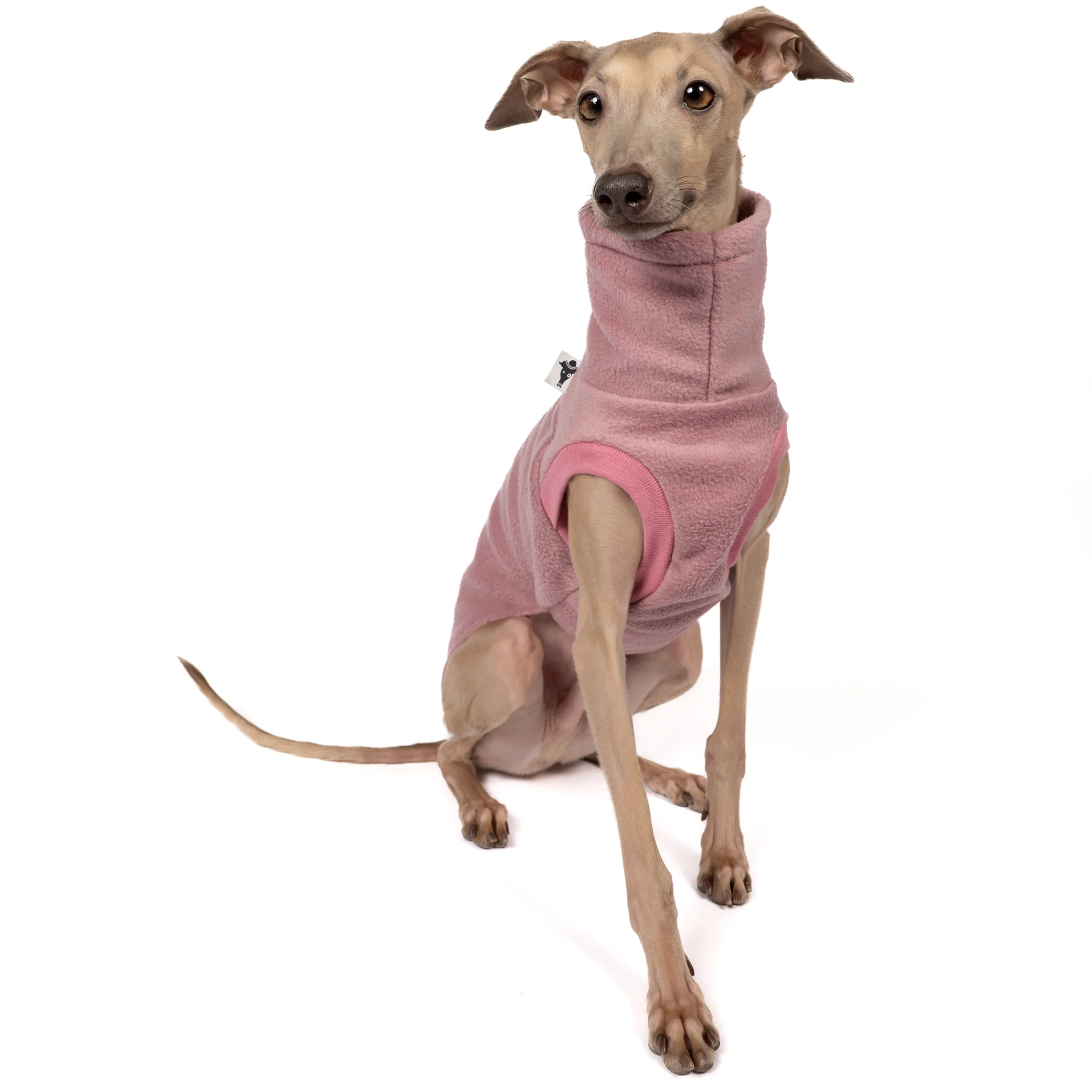 FLEECE SHIRT Iggy Mulberry - Image 4