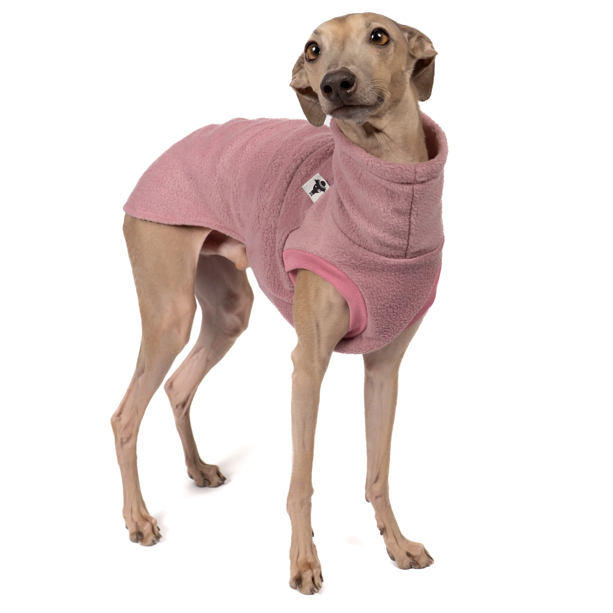 FLEECE SHIRT Iggy Mulberry - Image 5