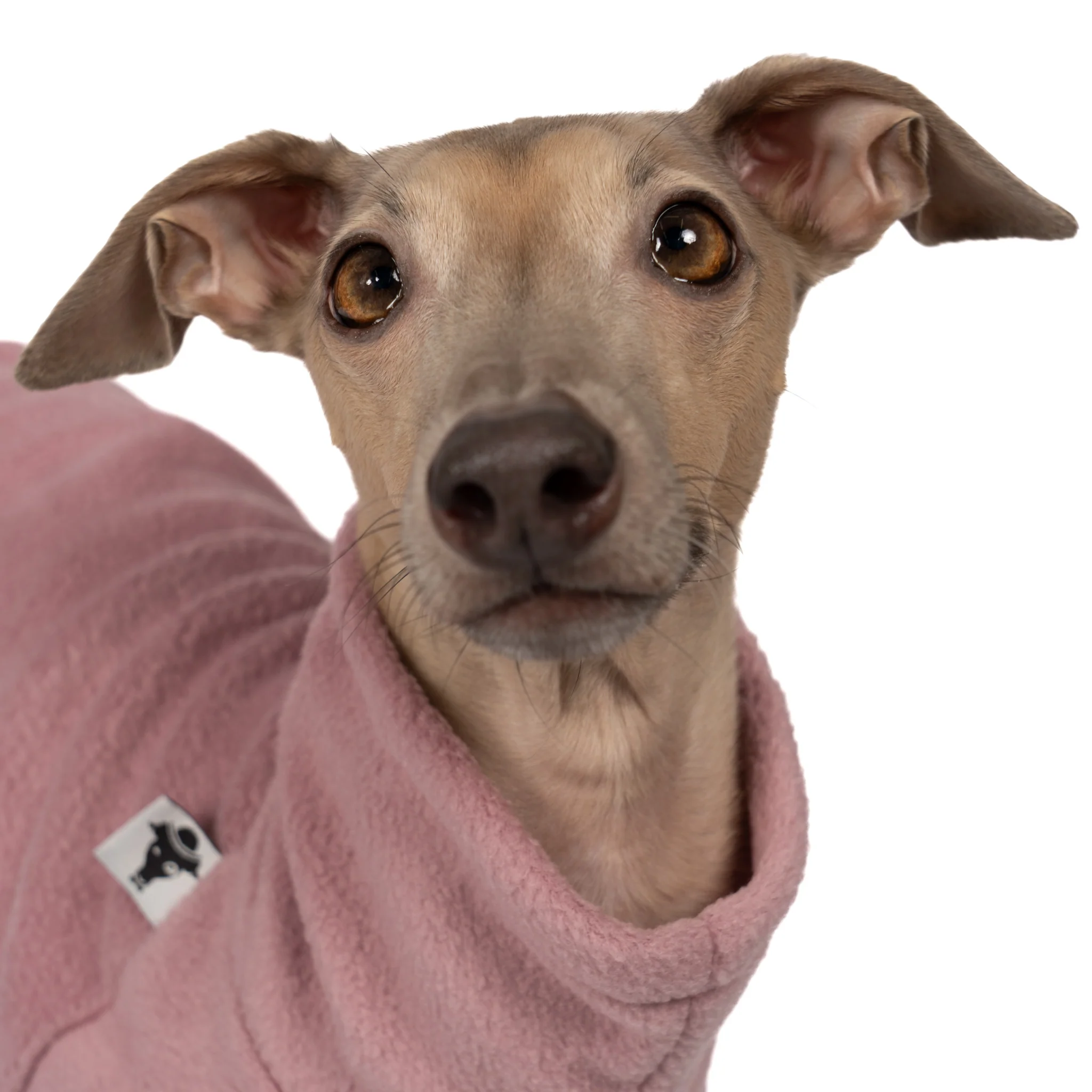 FLEECE SHIRT Iggy Mulberry - Image 6