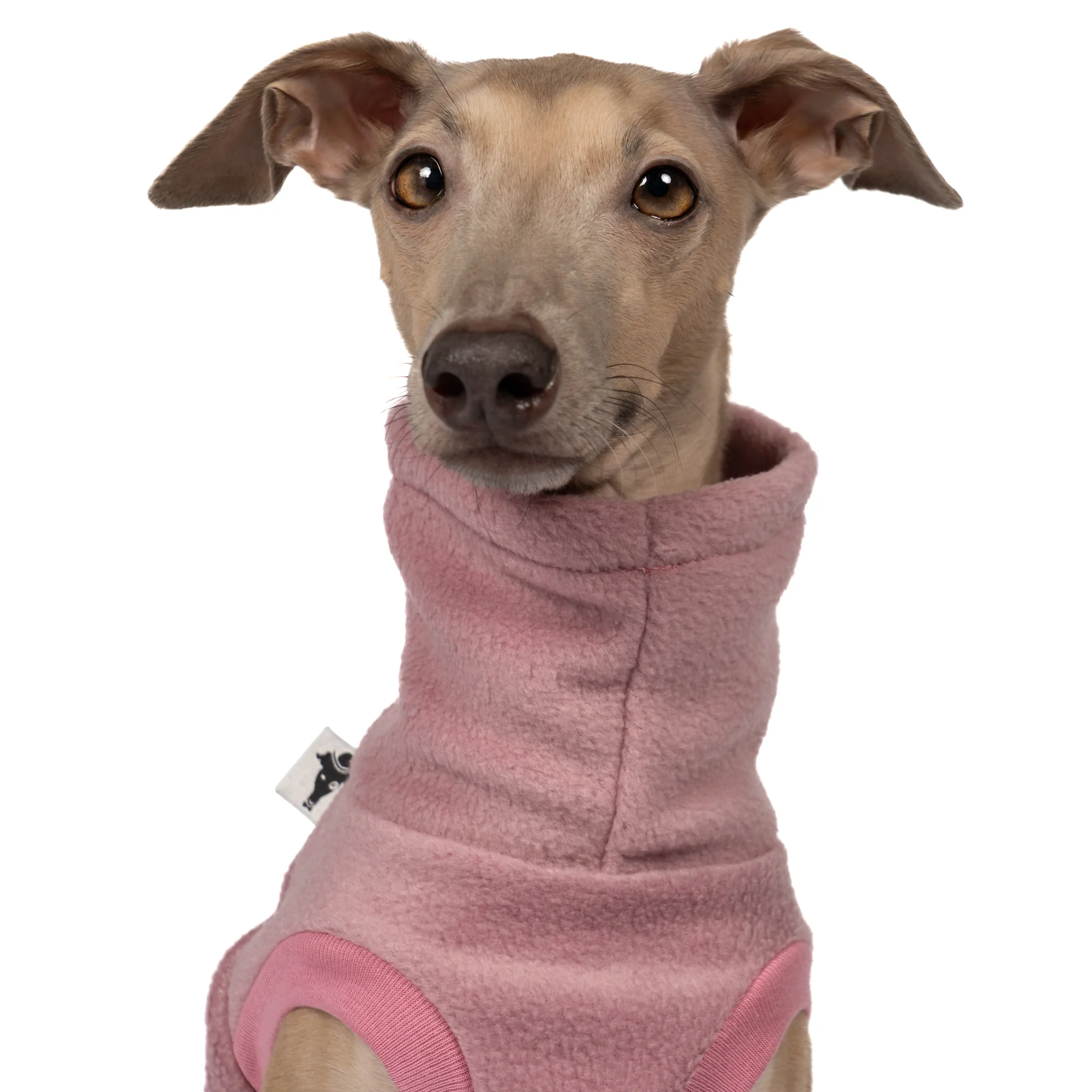 FLEECE SHIRT Iggy Mulberry - Image 7