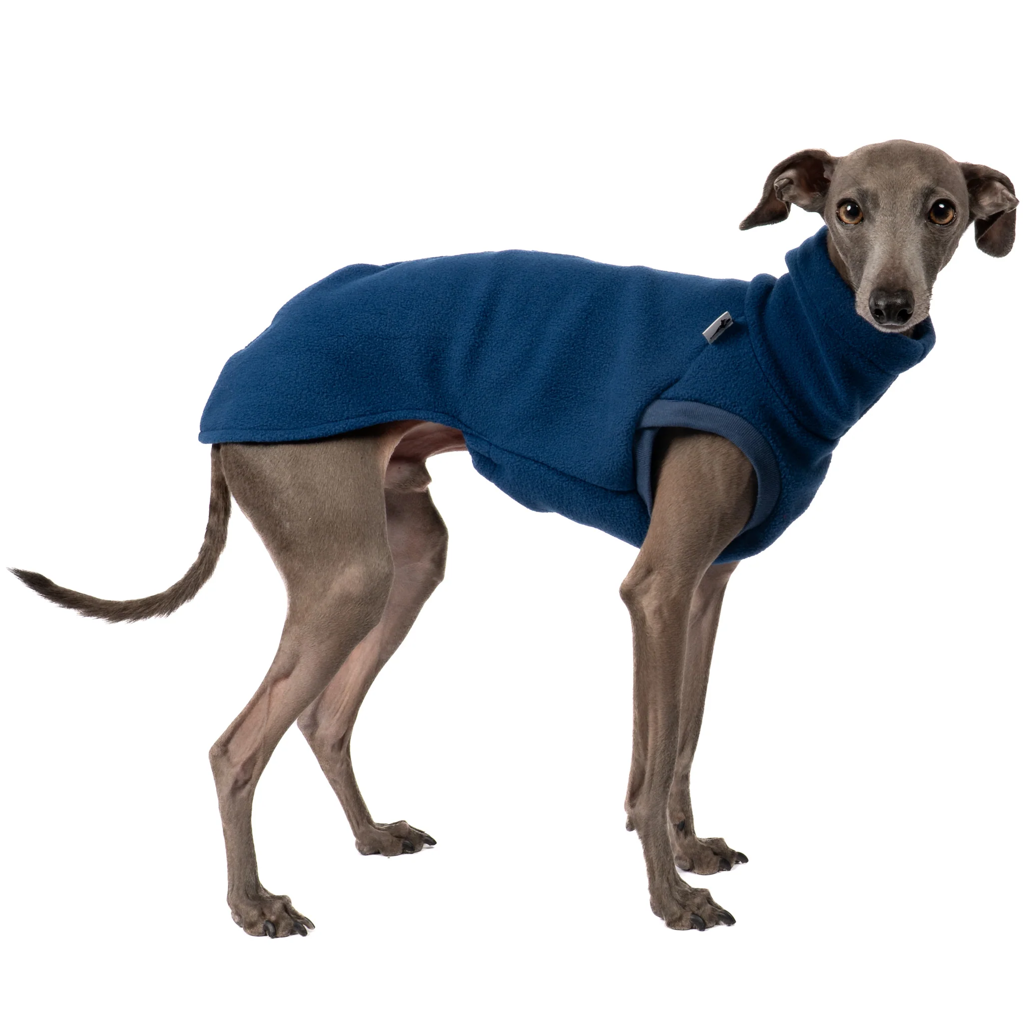 FLEECE SHIRT Iggy Navy