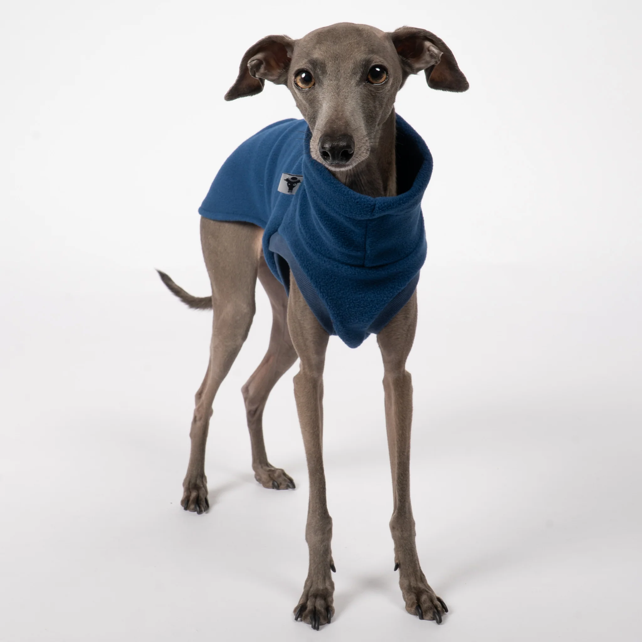 FLEECE SHIRT Iggy Navy - Image 4