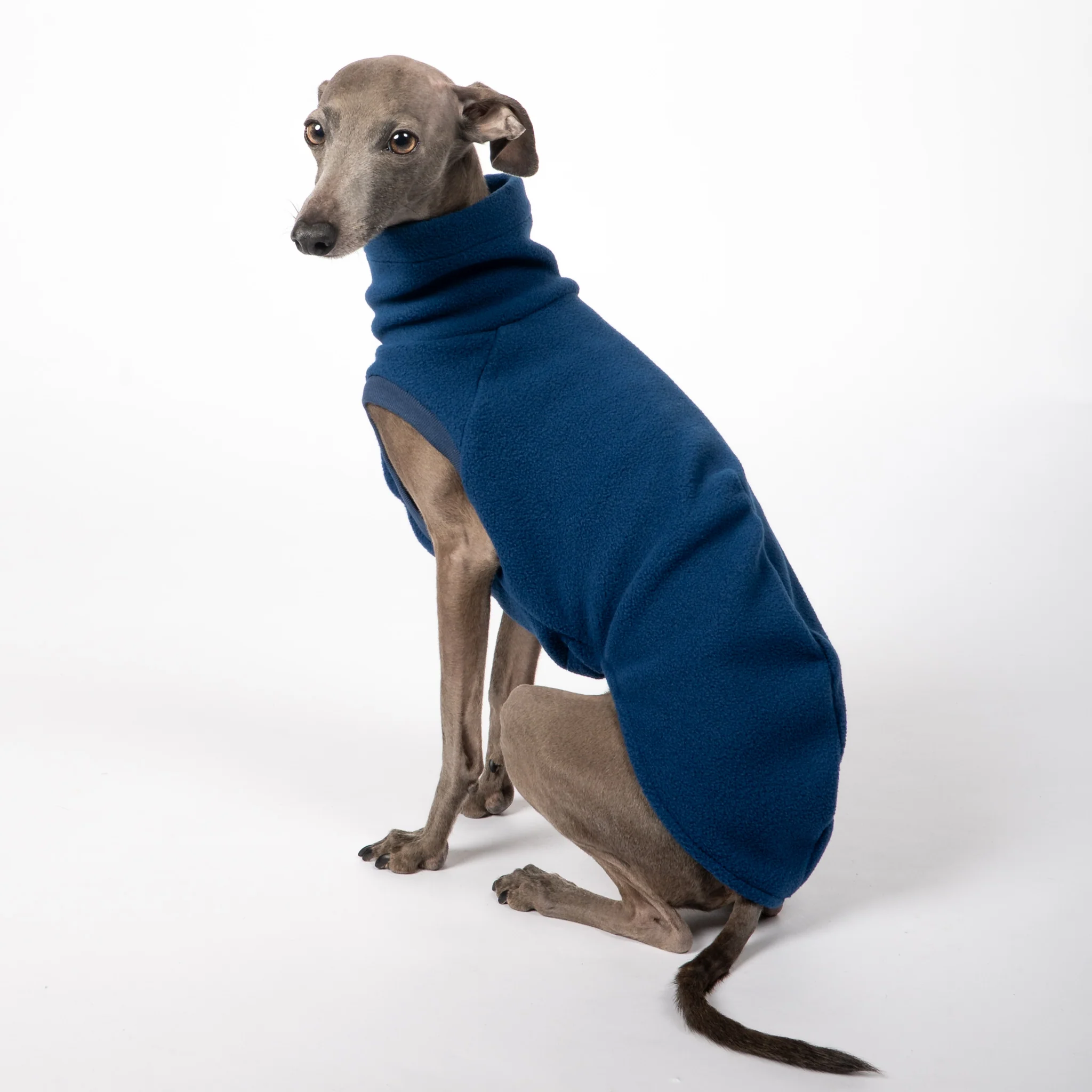 FLEECE SHIRT Iggy Navy - Image 5