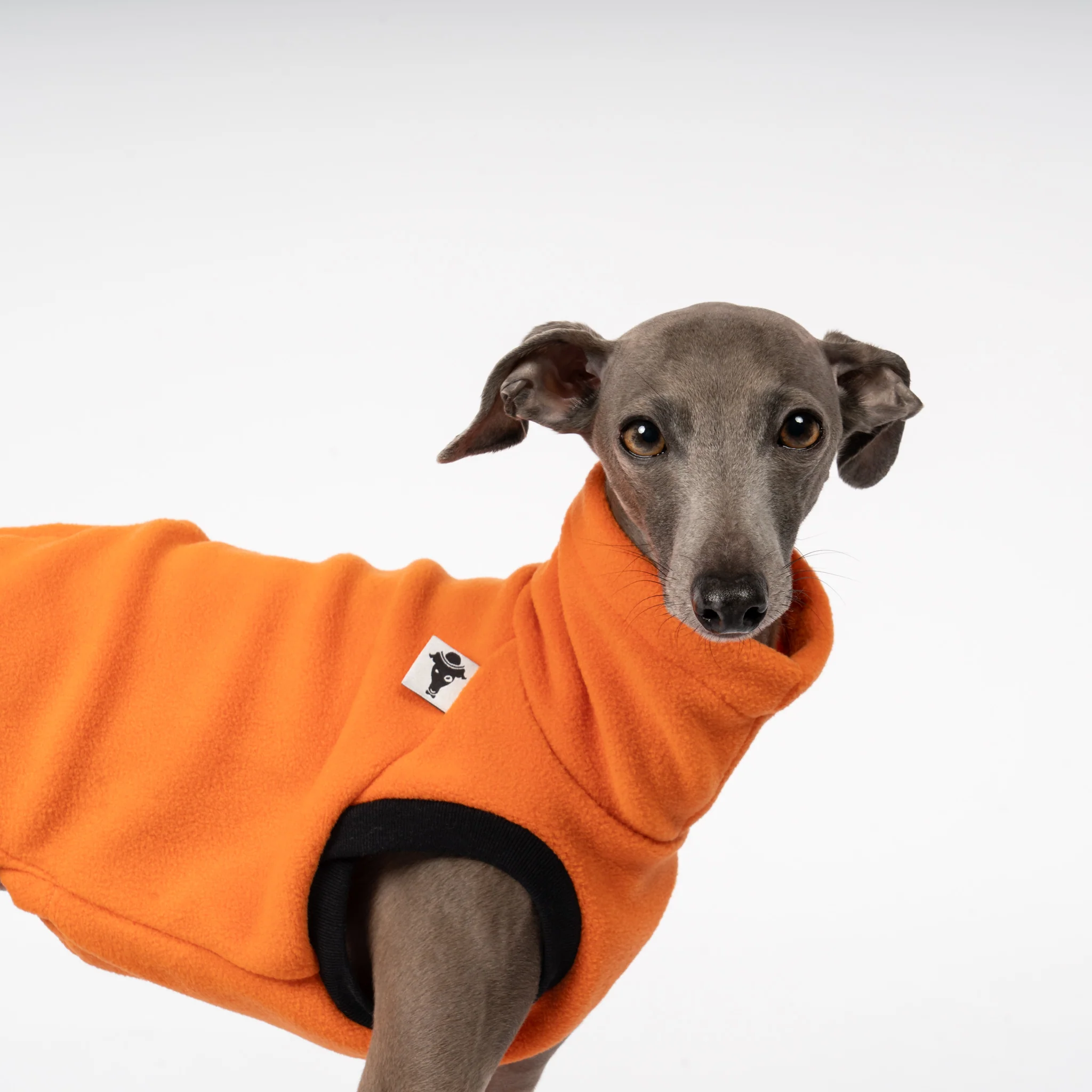 FLEECE SHIRT Iggy Orange - Image 5