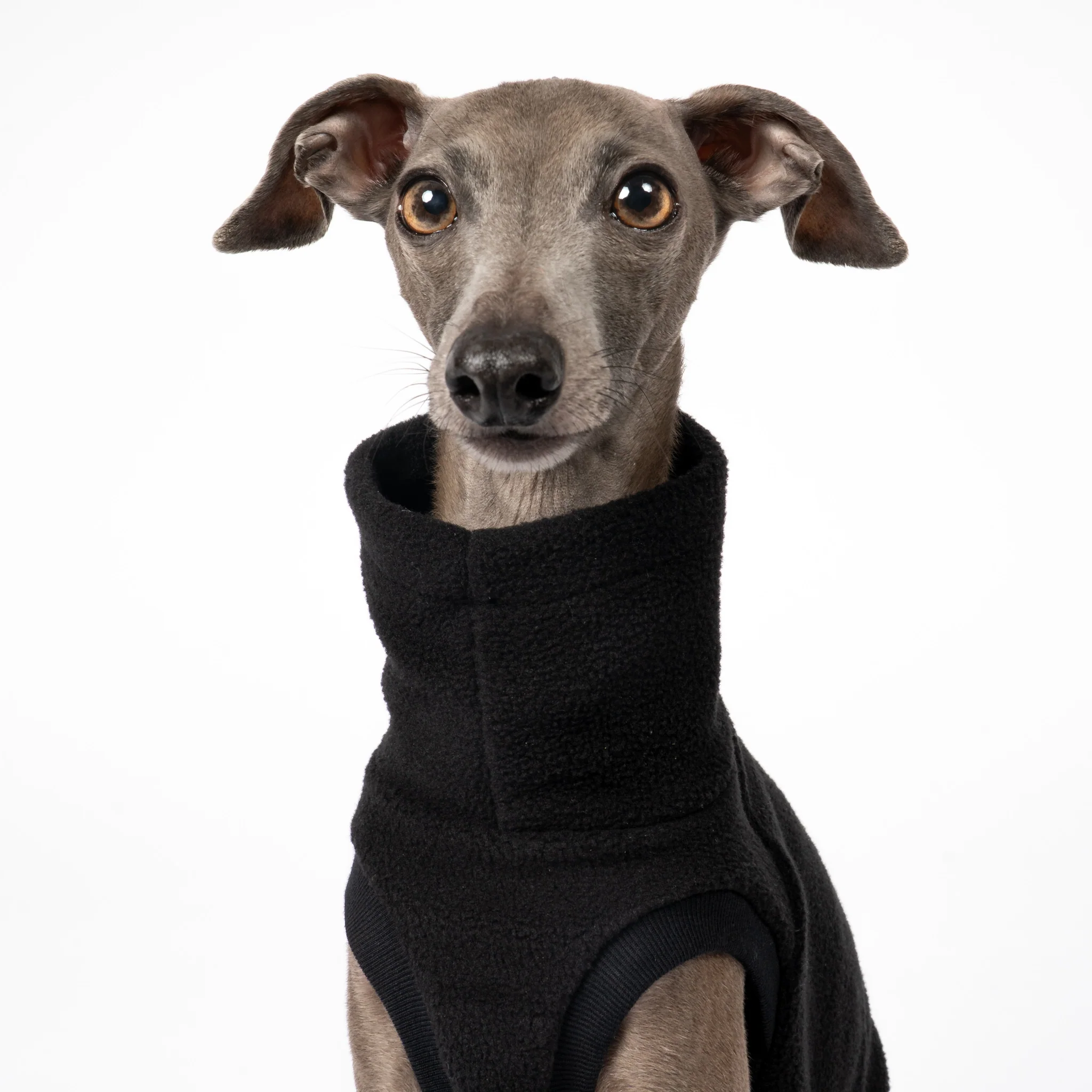 FLEECE SHIRT Iggy Schwarz - Image 5