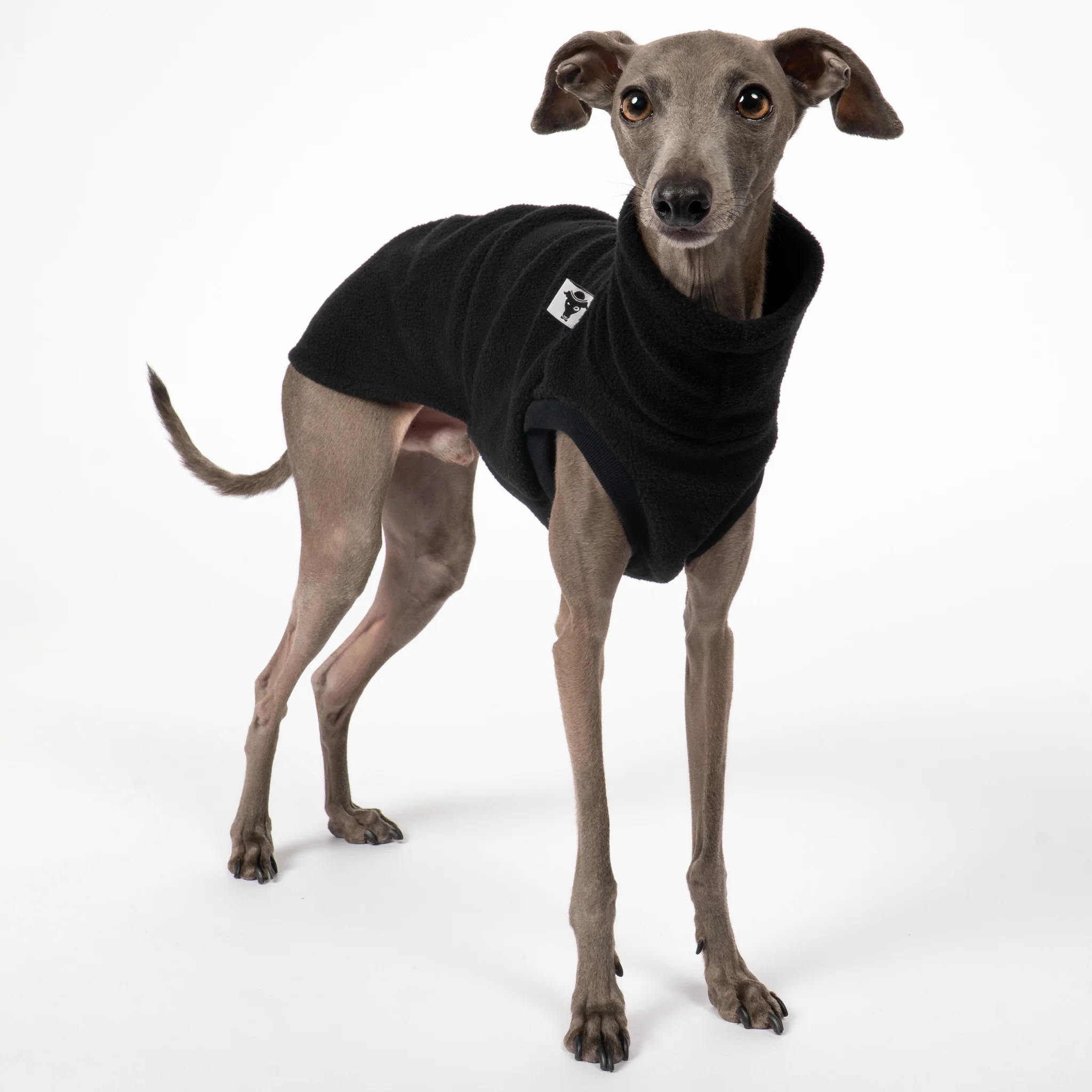 FLEECE SHIRT Iggy Schwarz - Image 6