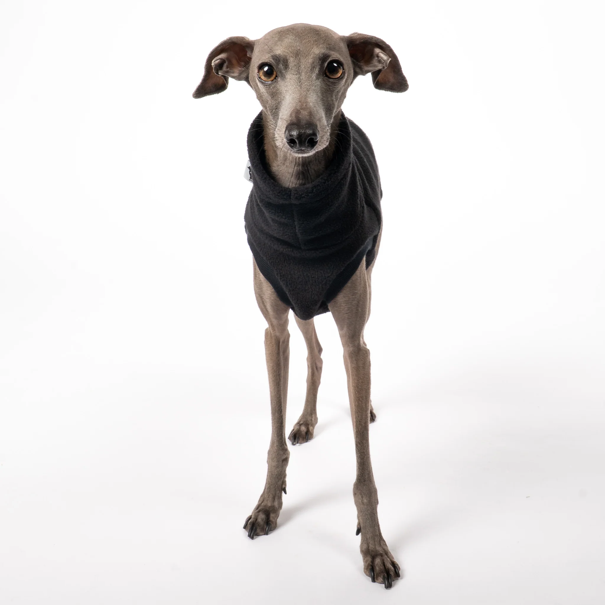 FLEECE SHIRT Iggy Schwarz - Image 7