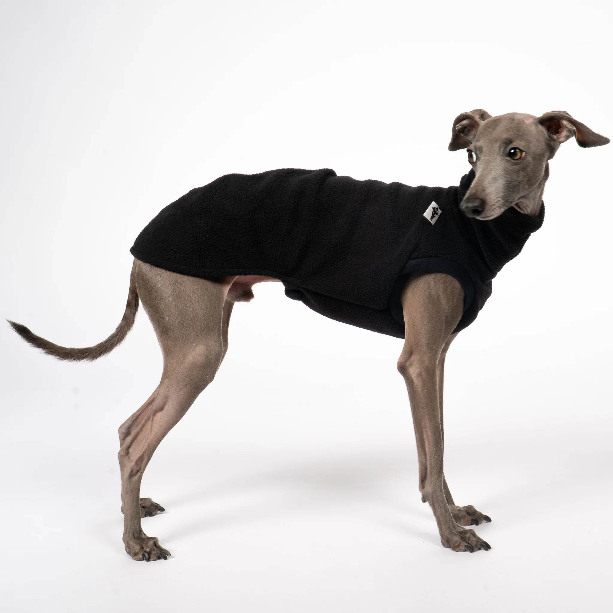 FLEECE SHIRT Iggy Schwarz - Image 8