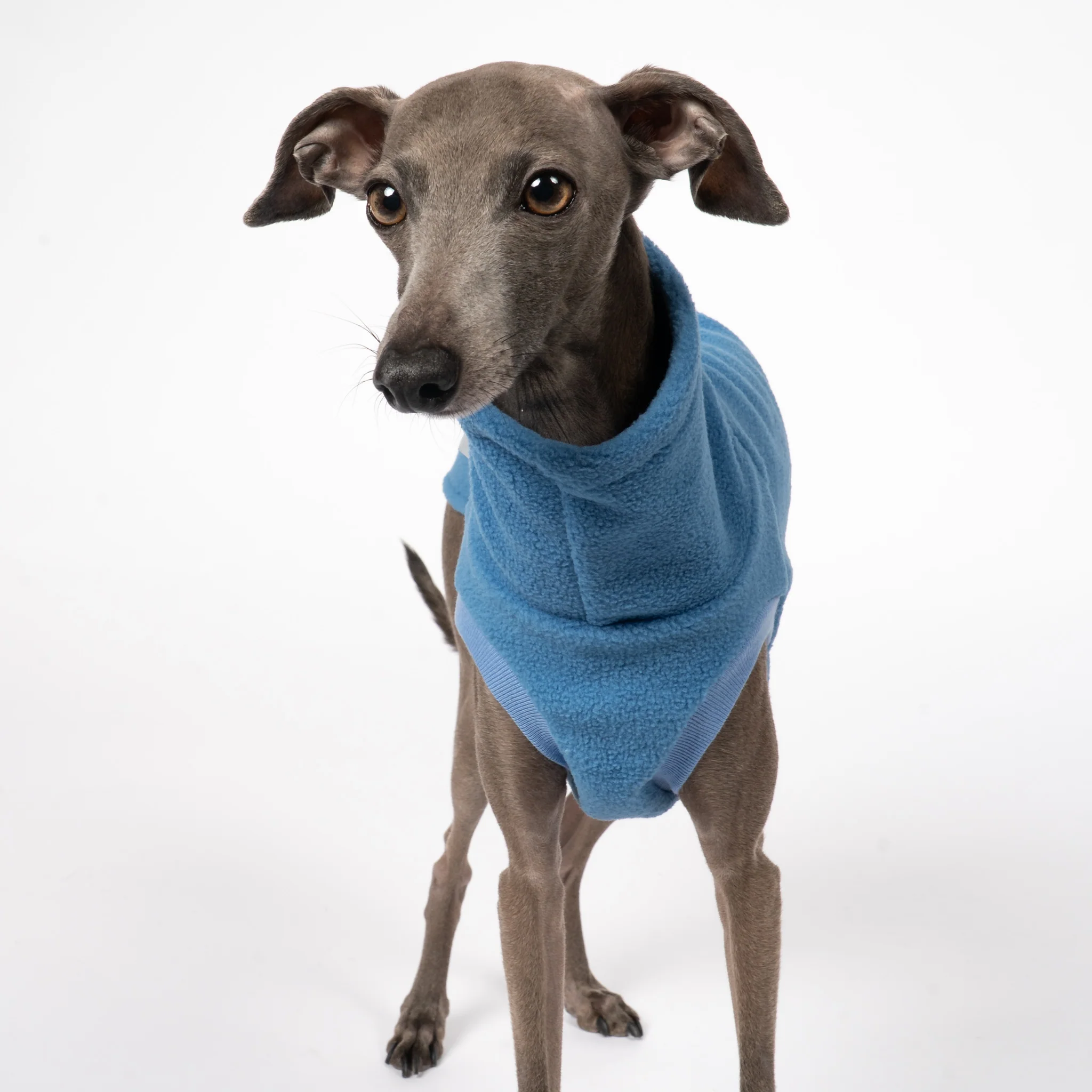 FLEECE SHIRT Iggy Sky Blue - Image 4