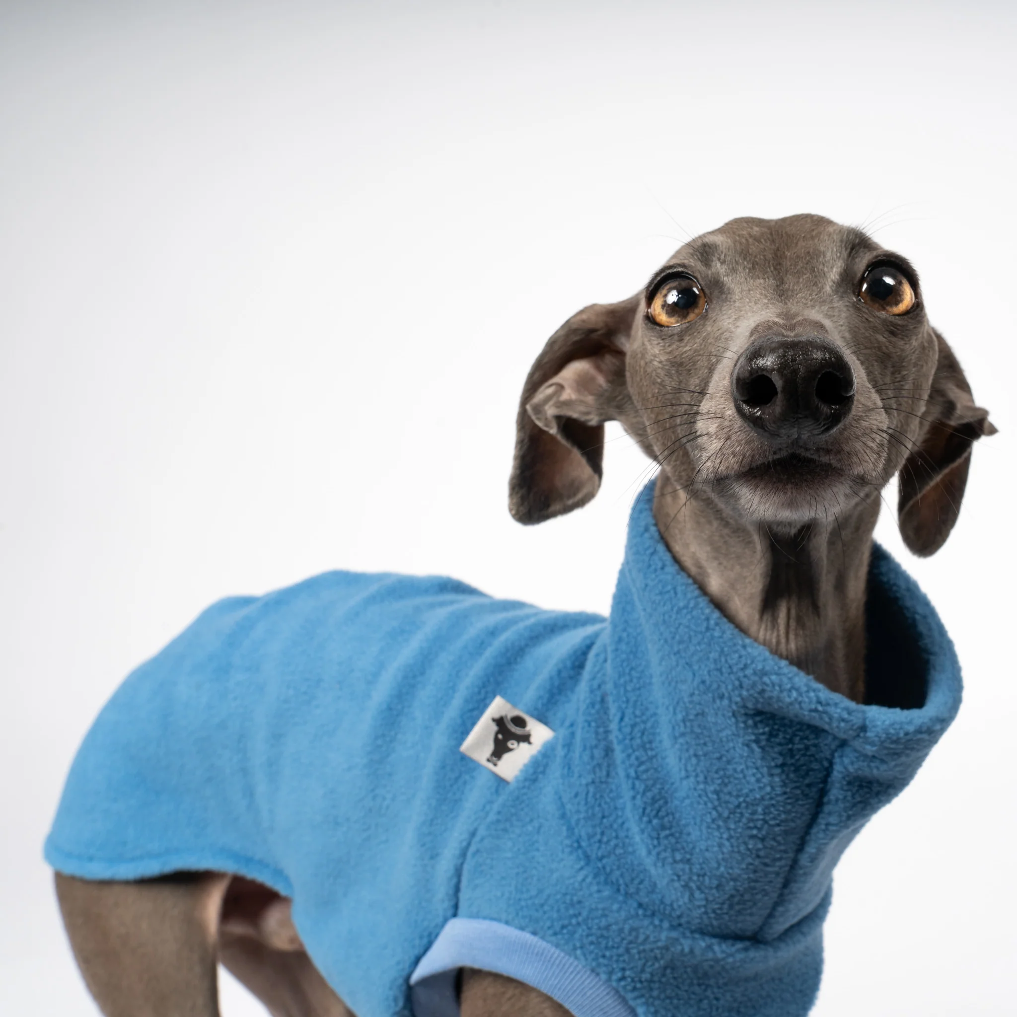 FLEECE SHIRT Iggy Sky Blue - Image 5