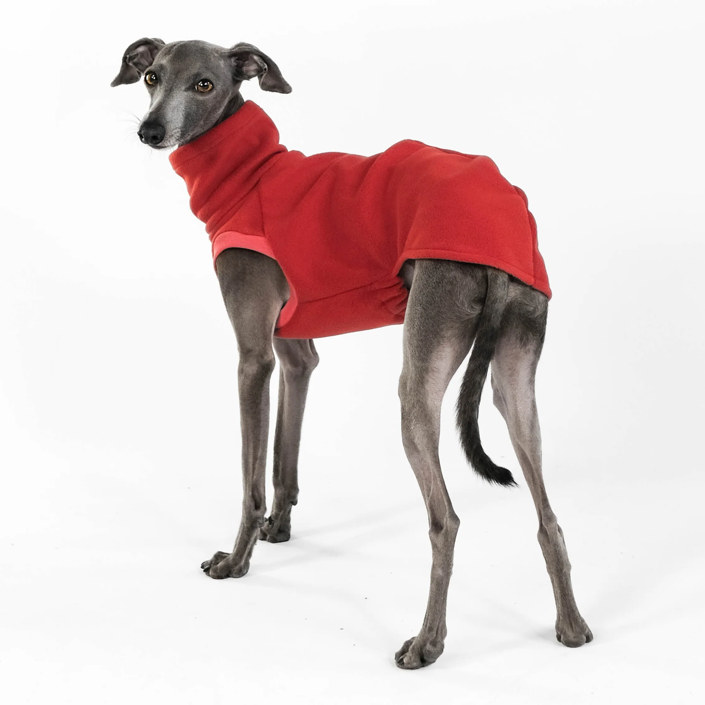 FLEECE SHIRT Iggy Terracotta - Image 4