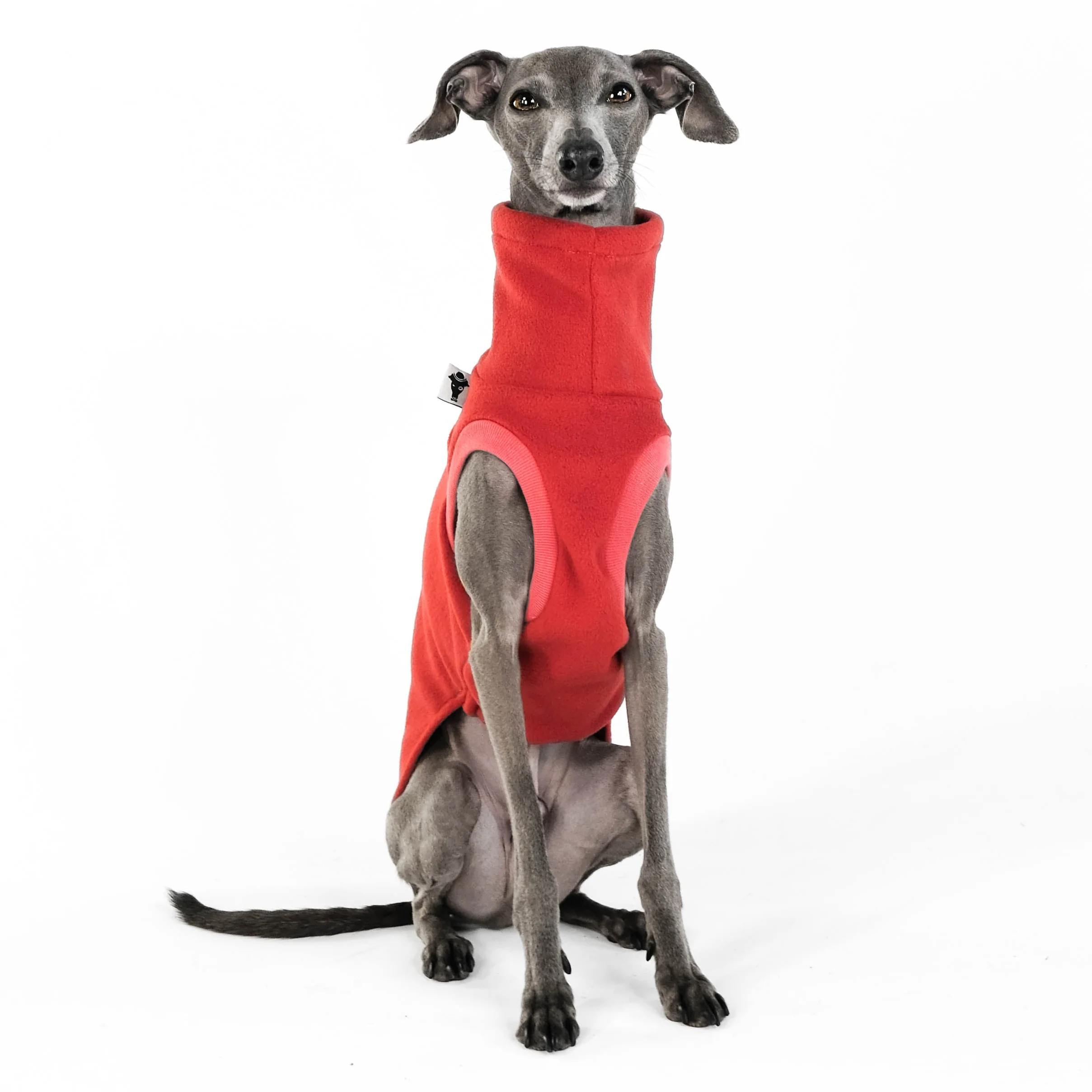 FLEECE SHIRT Iggy Terracotta - Image 5