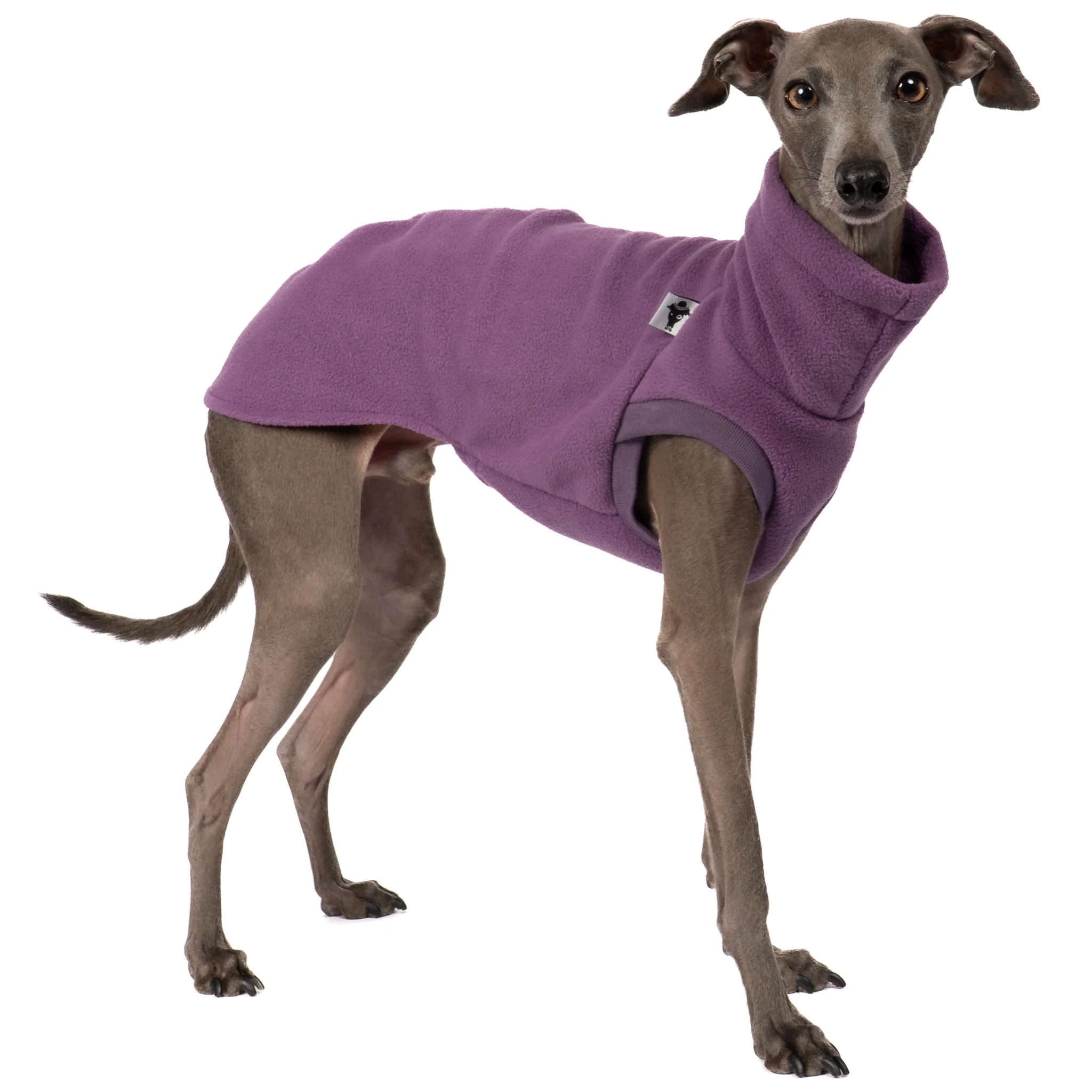 FLEECE SHIRT Iggy Violet