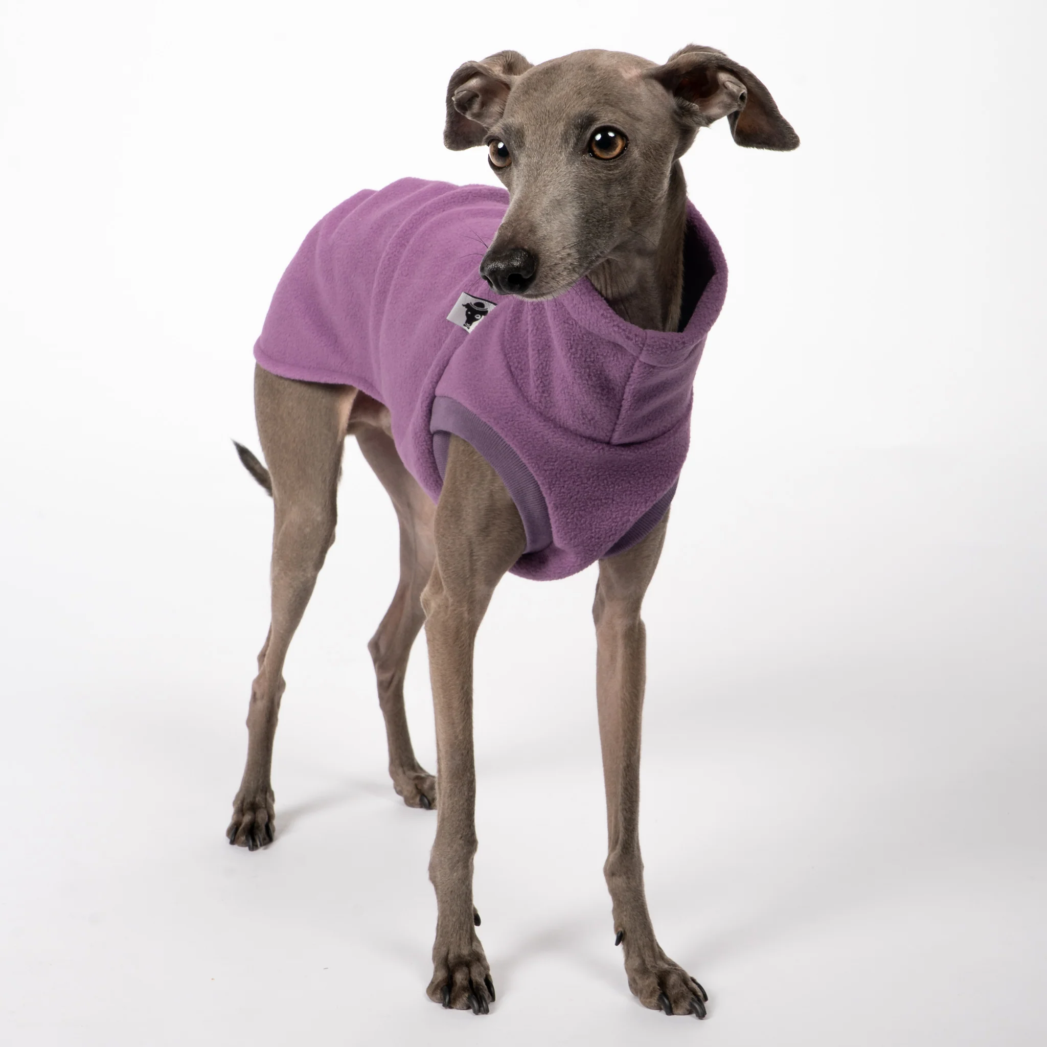 FLEECE SHIRT Iggy Violet - Image 4