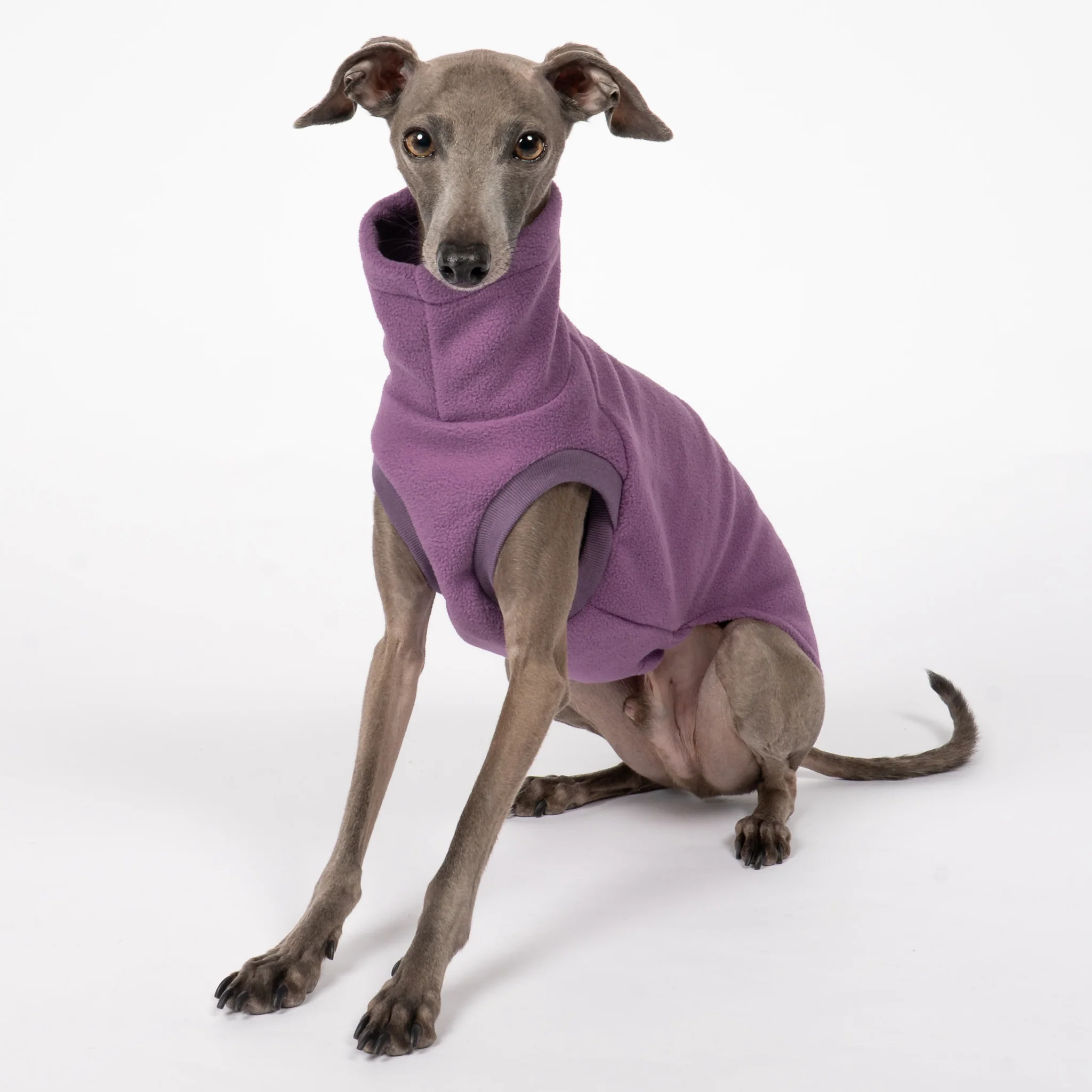 FLEECE SHIRT Iggy Violet - Image 5