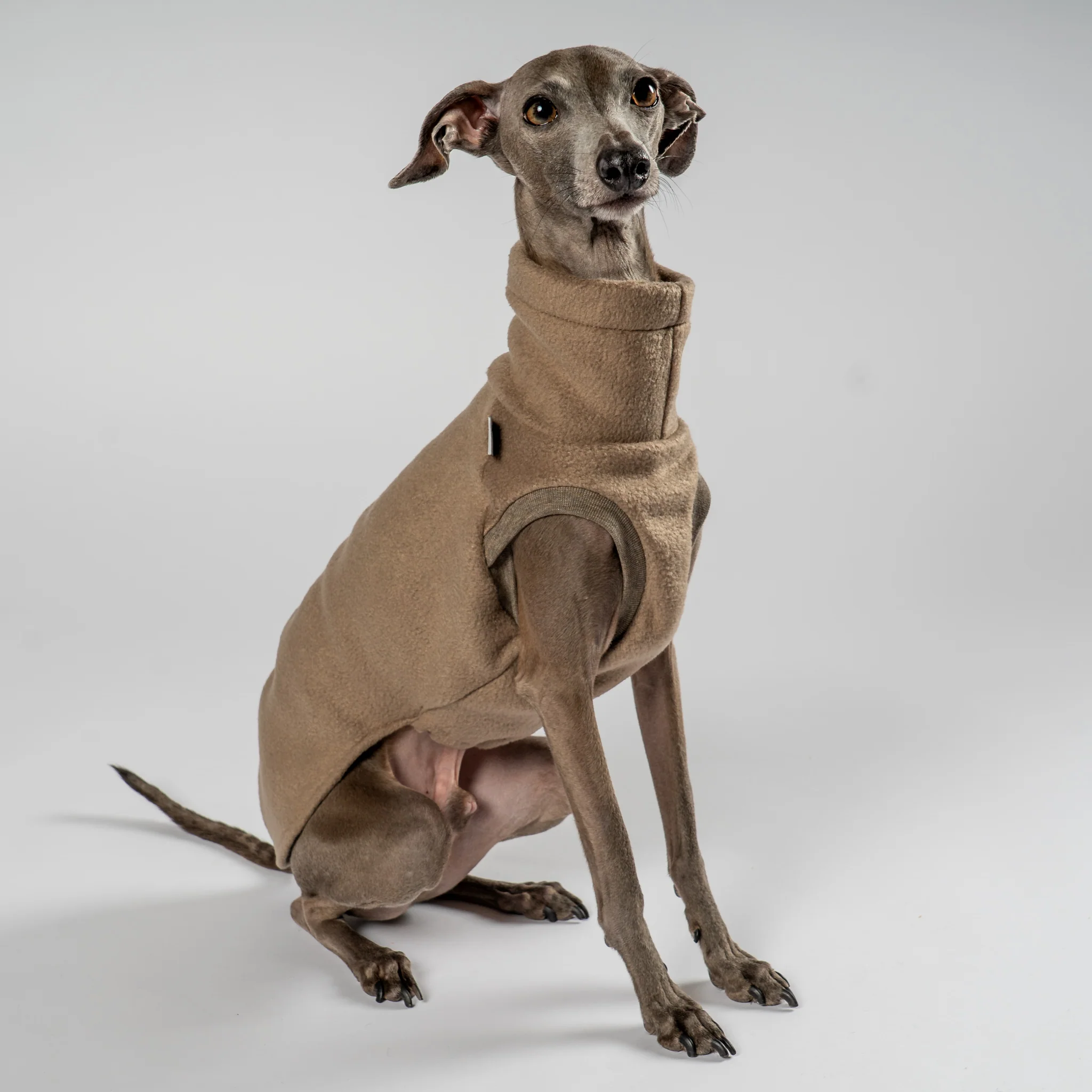 FLEECE SHIRT Iggy Walnut - Image 3
