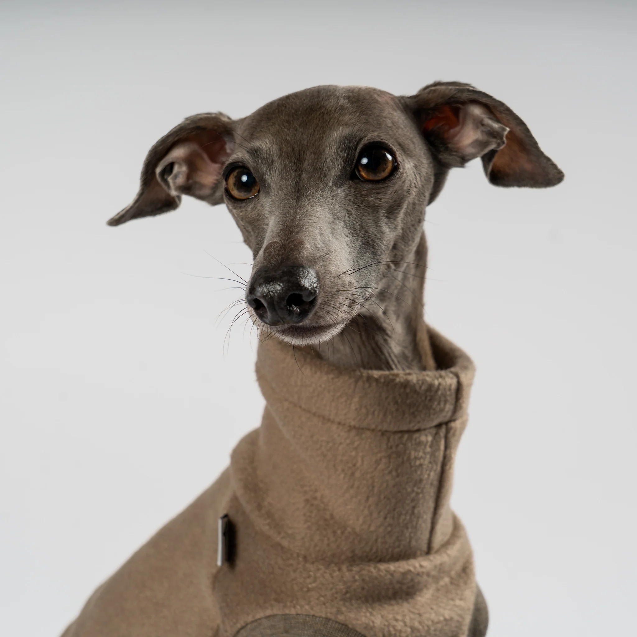 FLEECE SHIRT Iggy Walnut - Image 4