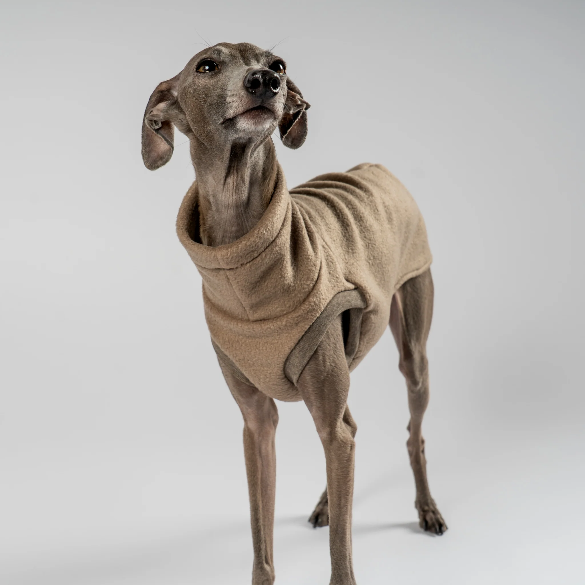 FLEECE SHIRT Iggy Walnut - Image 5