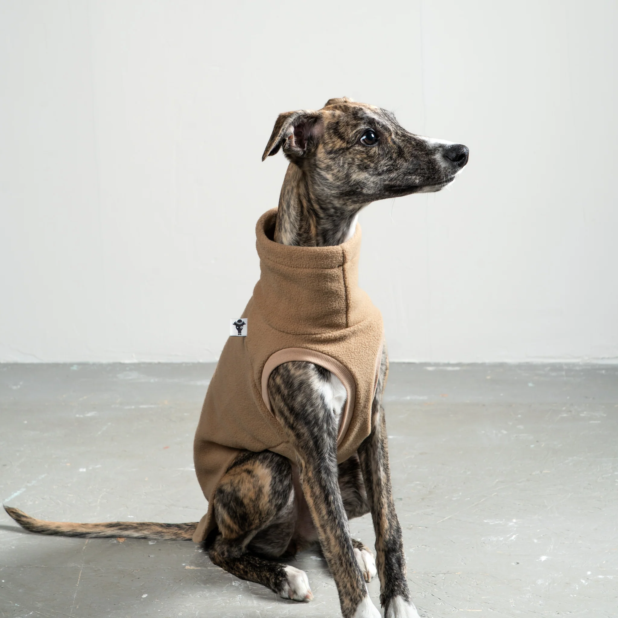 FLEECE SHIRT Windhund Camel - Image 4