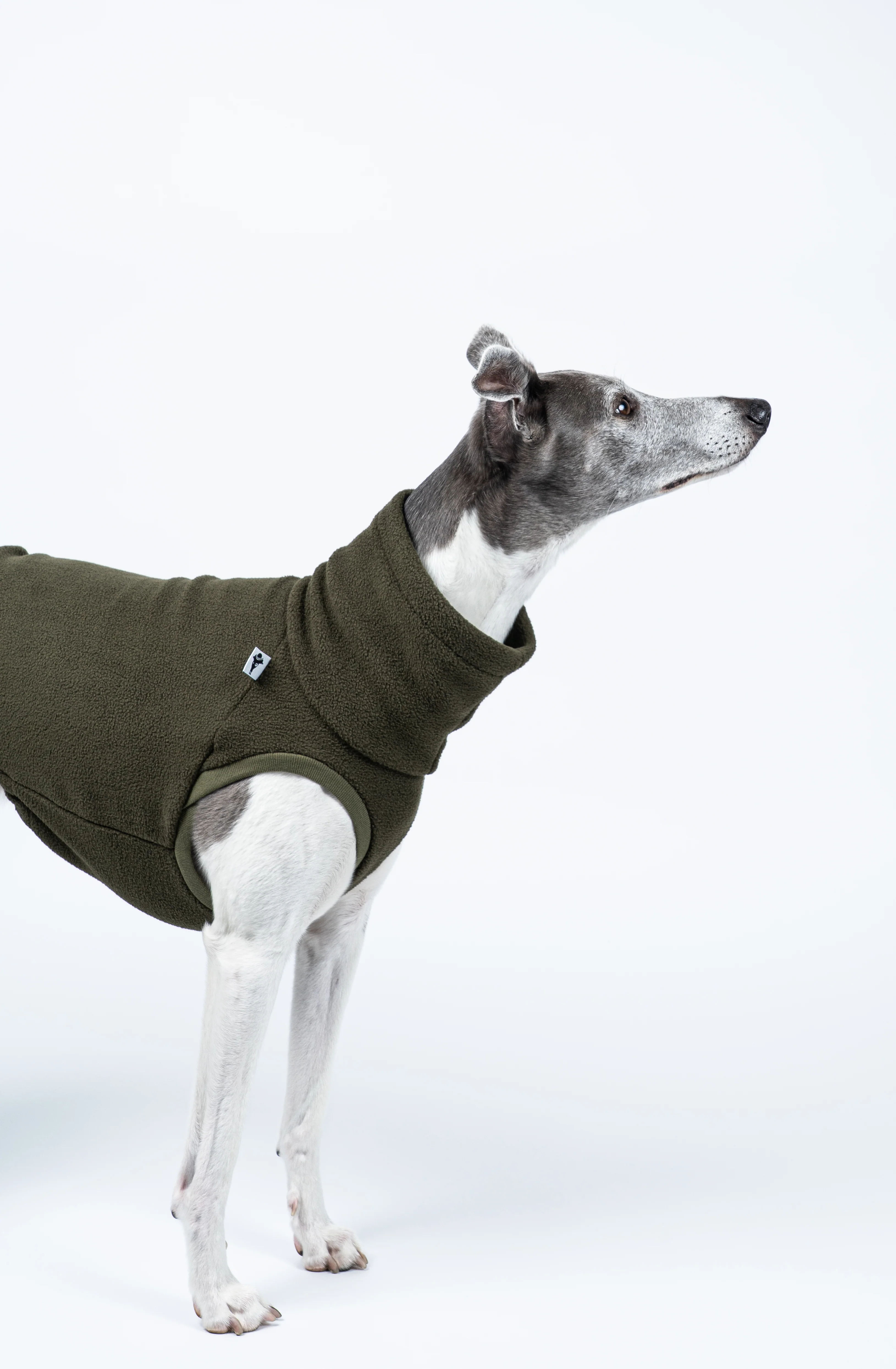 FLEECE SHIRT Windhund Dark Olive - Image 4