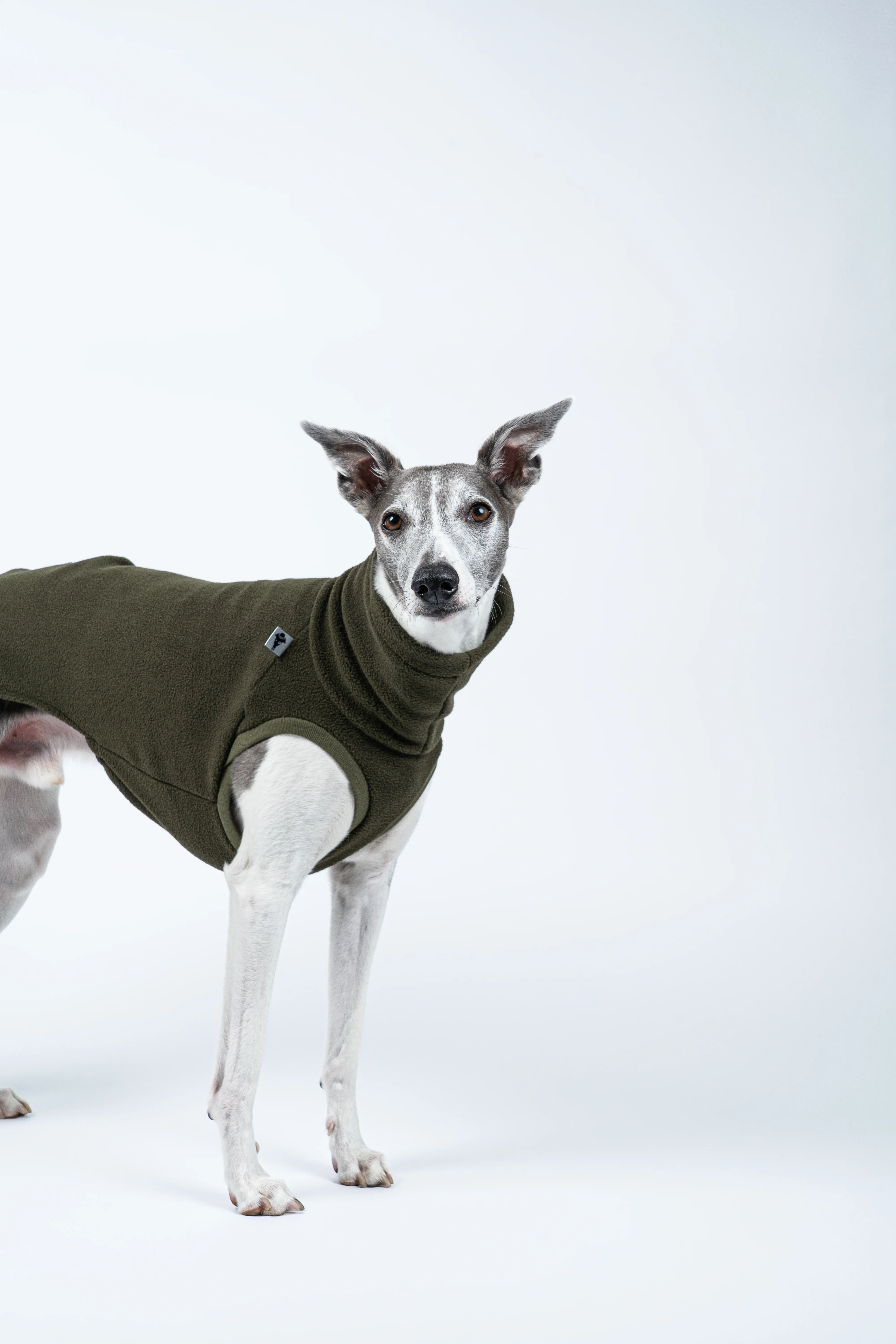FLEECE SHIRT Windhund Dark Olive - Image 6