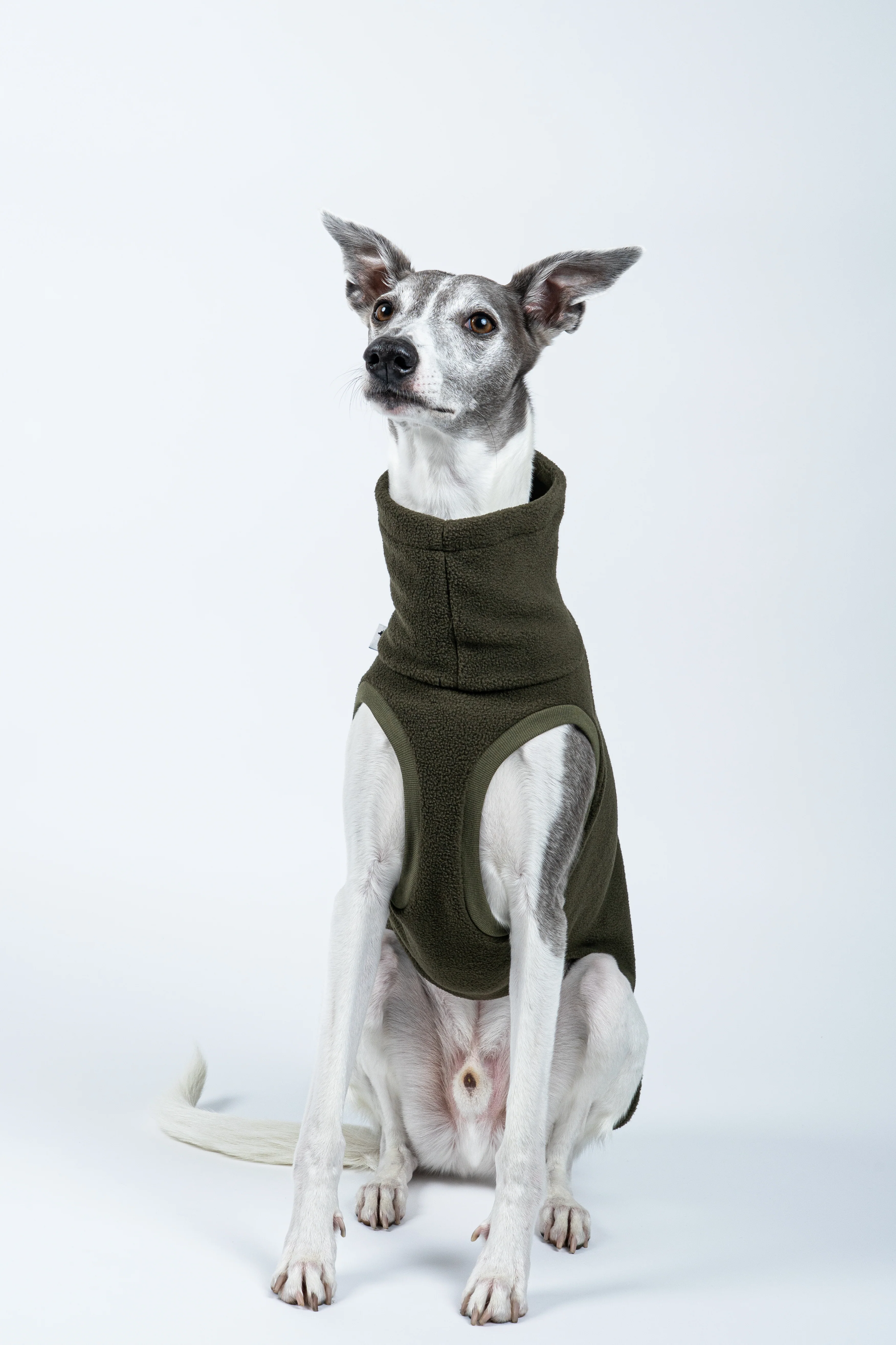 FLEECE SHIRT Windhund Dark Olive - Image 7