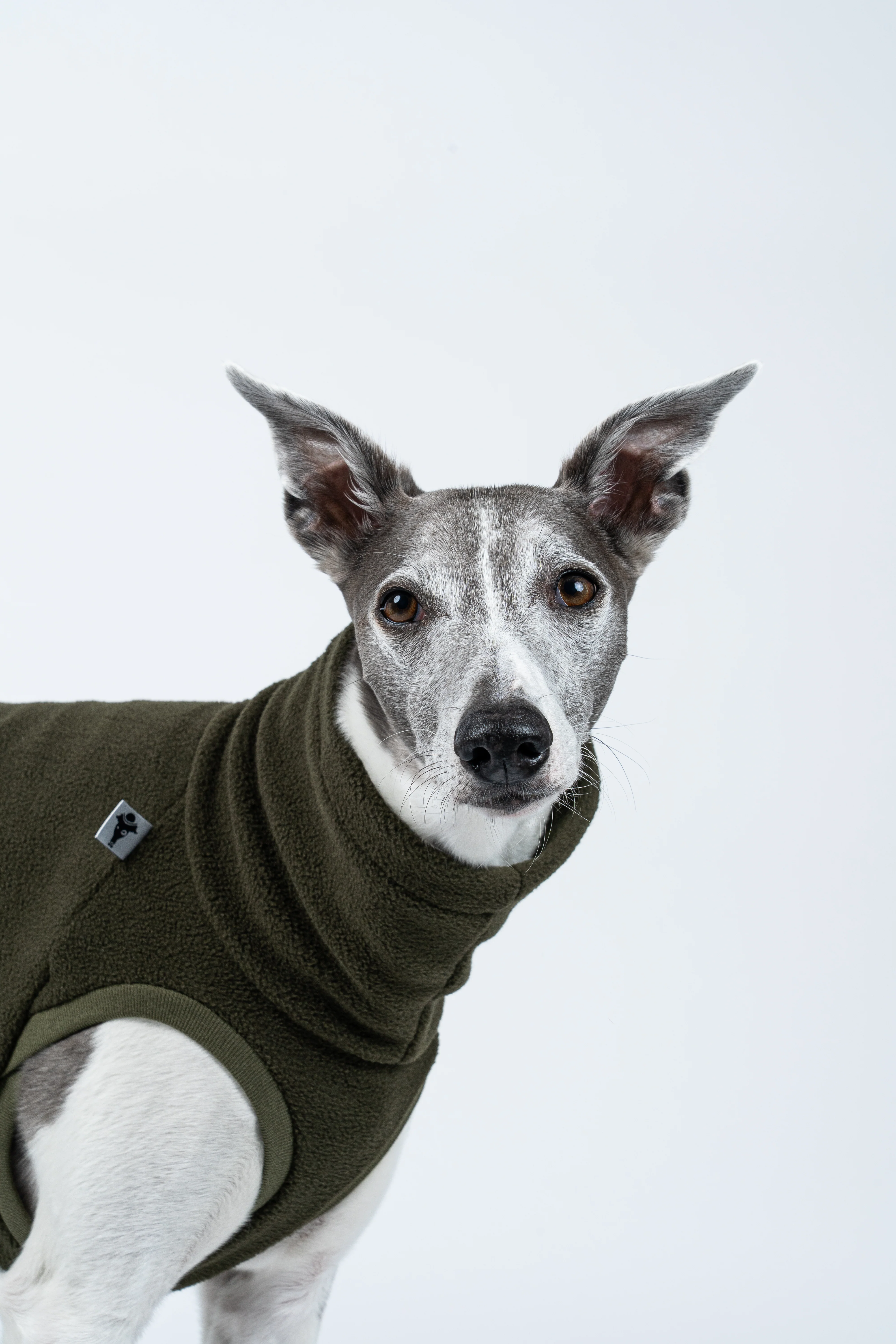 FLEECE SHIRT Windhund Dark Olive - Image 9