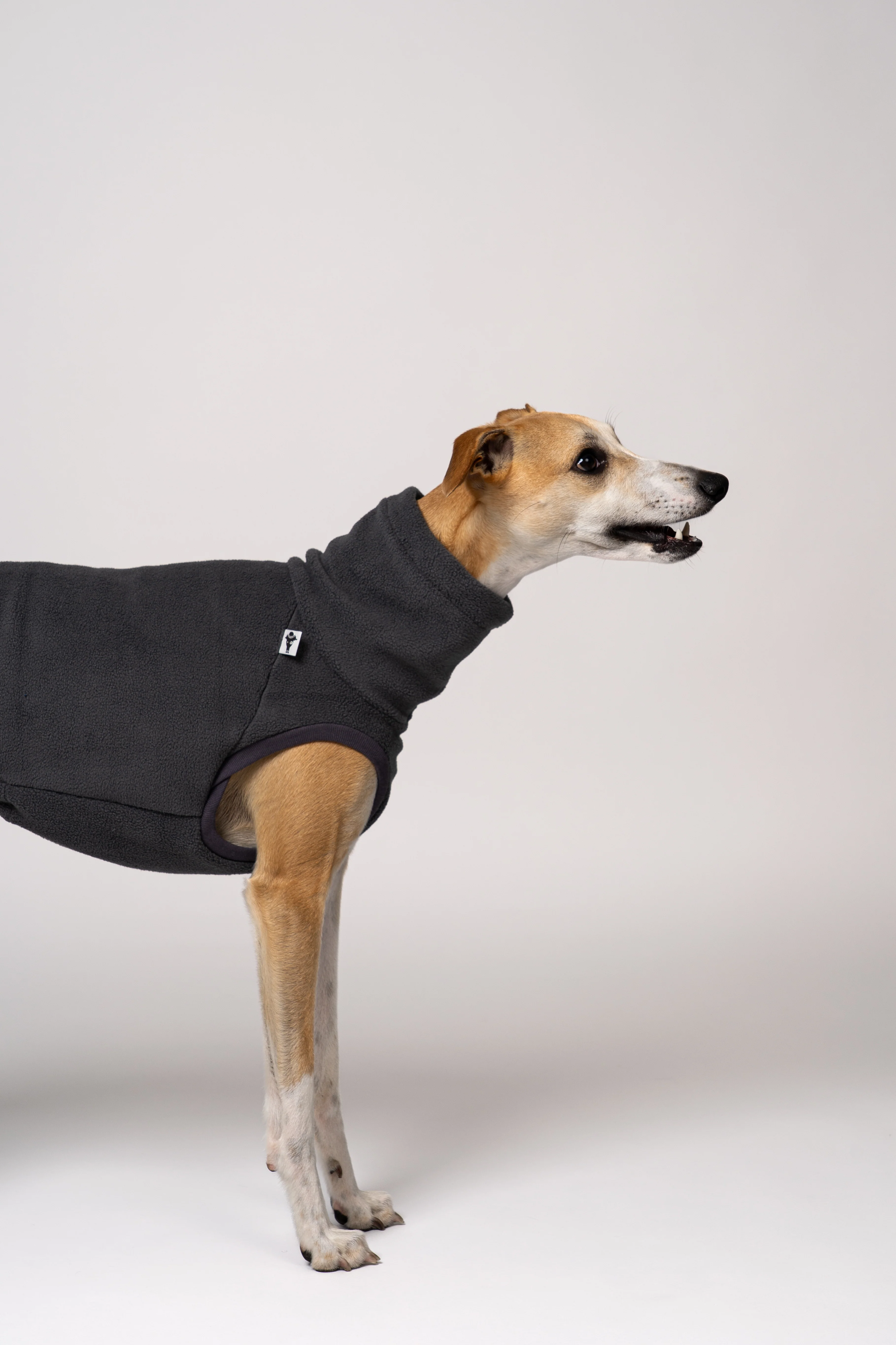 FLEECE SHIRT Windhund Graphite - Image 5