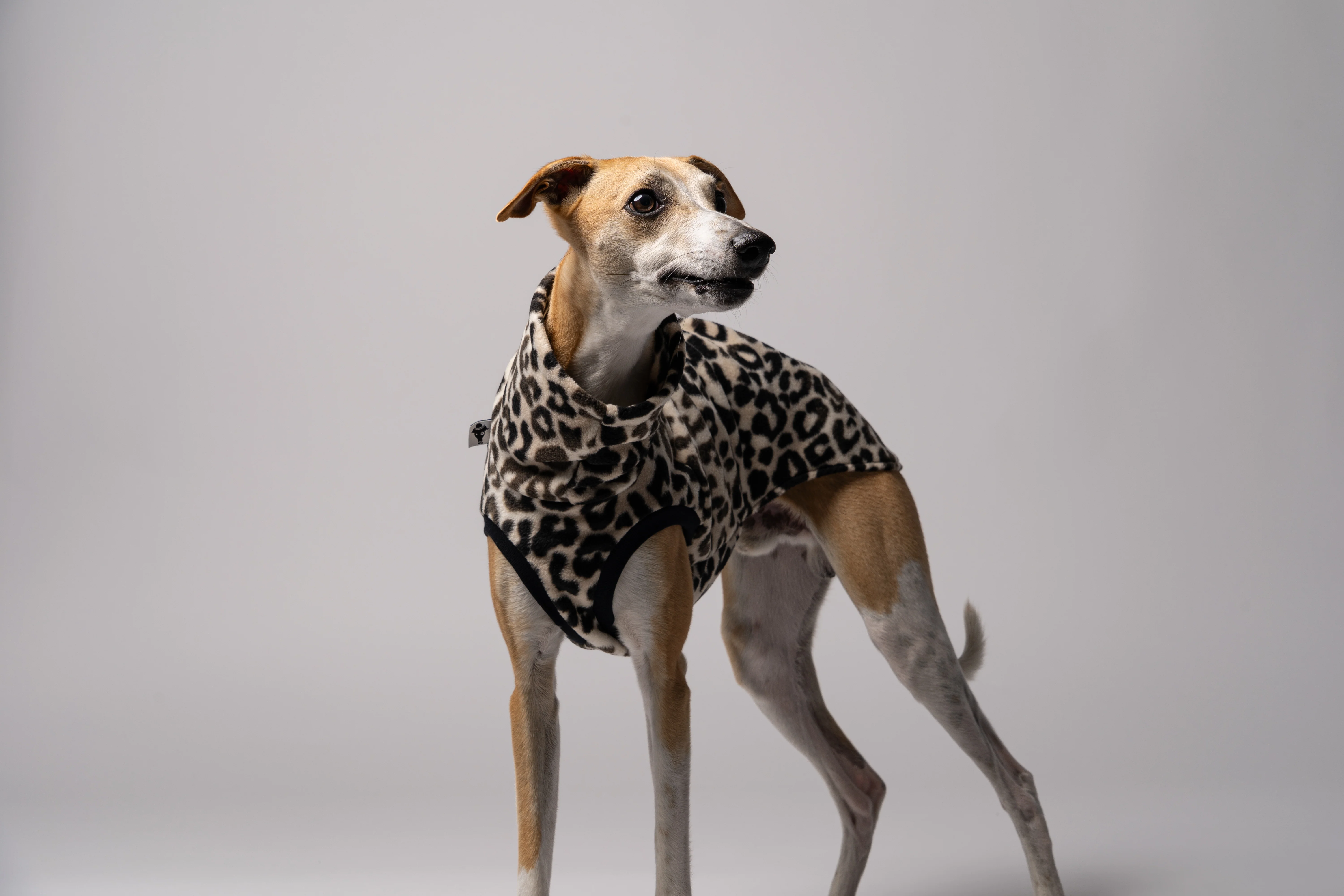 FLEECE SHIRT Windhund Leo - Image 10