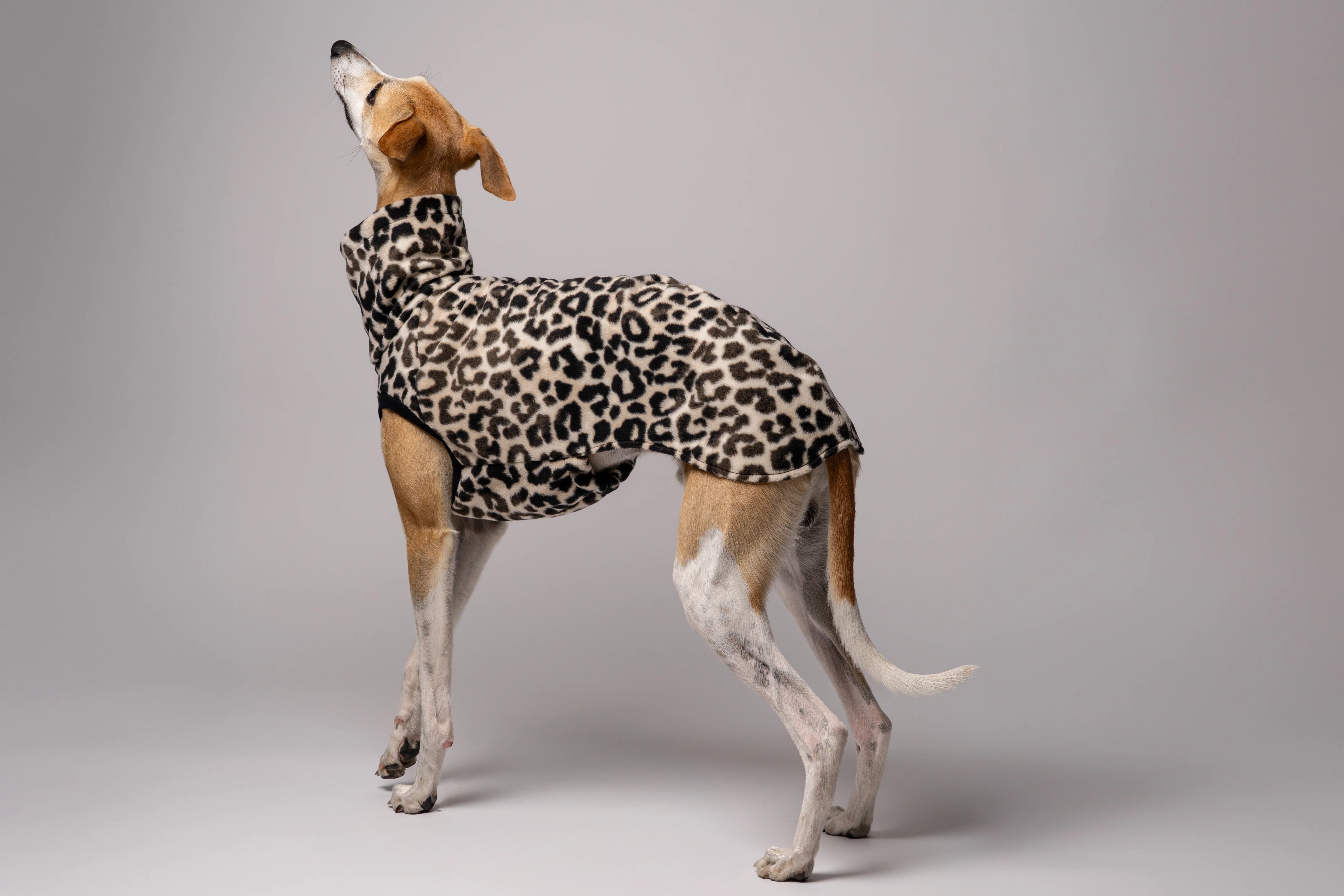 FLEECE SHIRT Windhund Leo - Image 4
