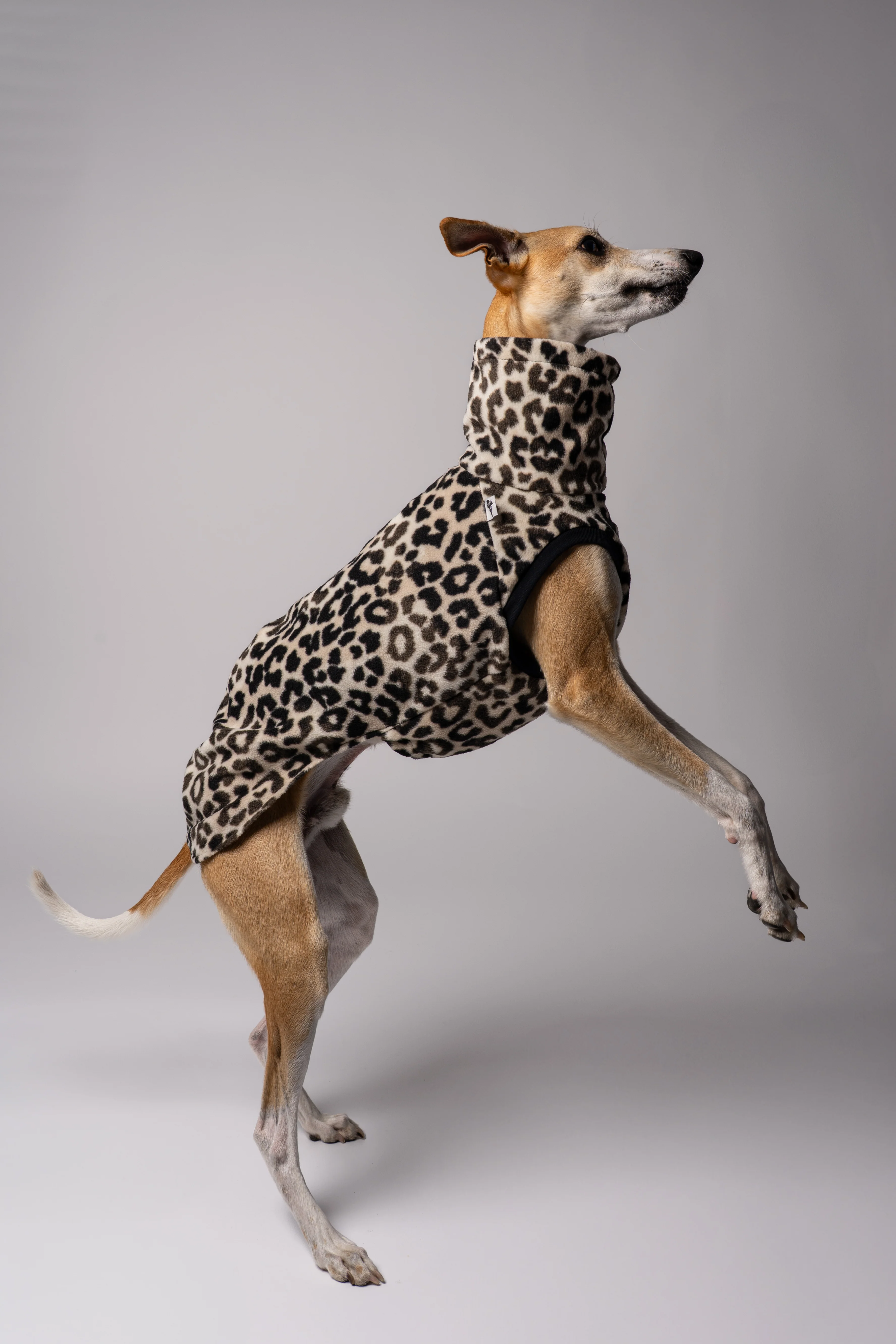 FLEECE SHIRT Windhund Leo - Image 5