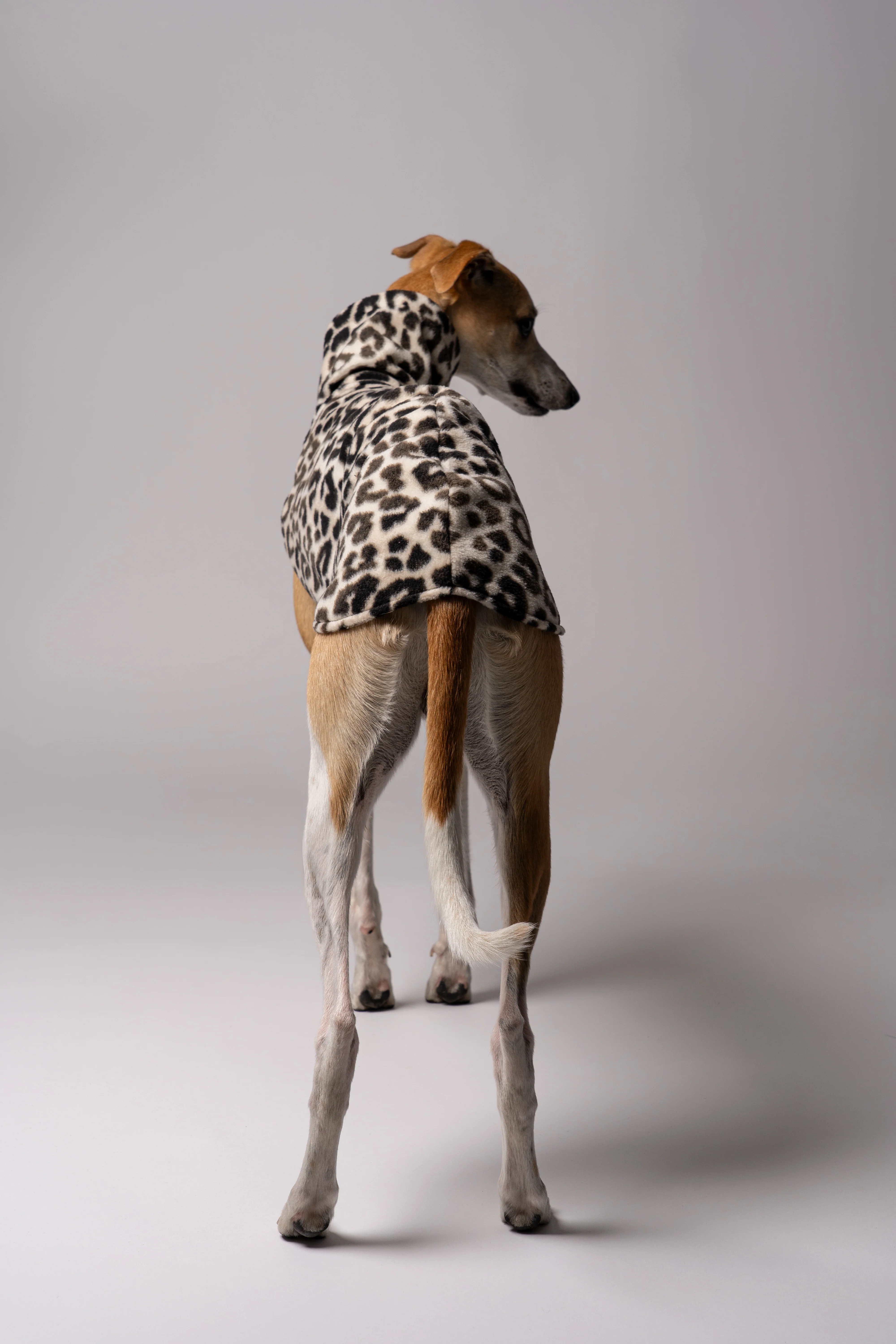 FLEECE SHIRT Windhund Leo - Image 6