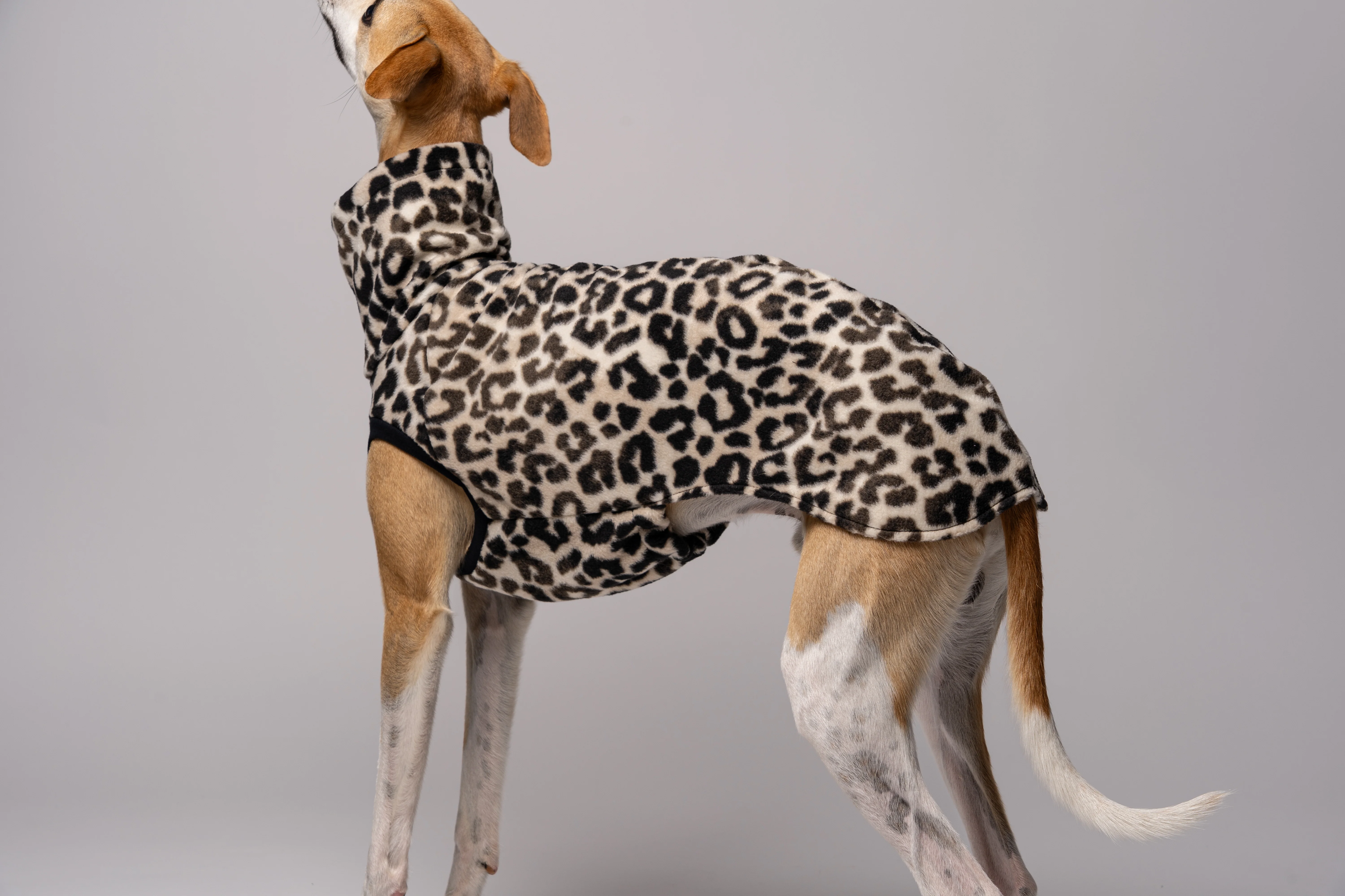FLEECE SHIRT Windhund Leo - Image 7