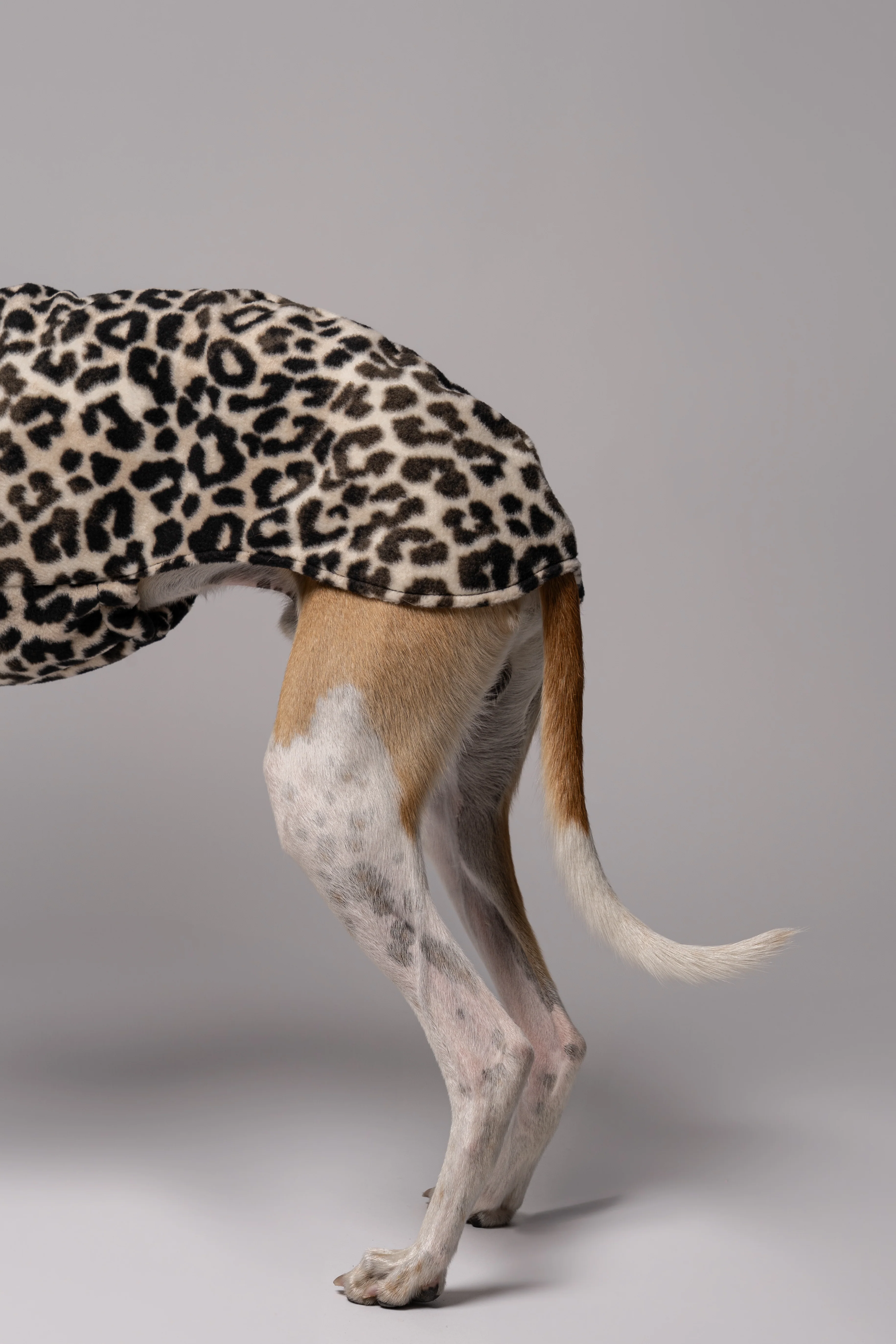 FLEECE SHIRT Windhund Leo - Image 8