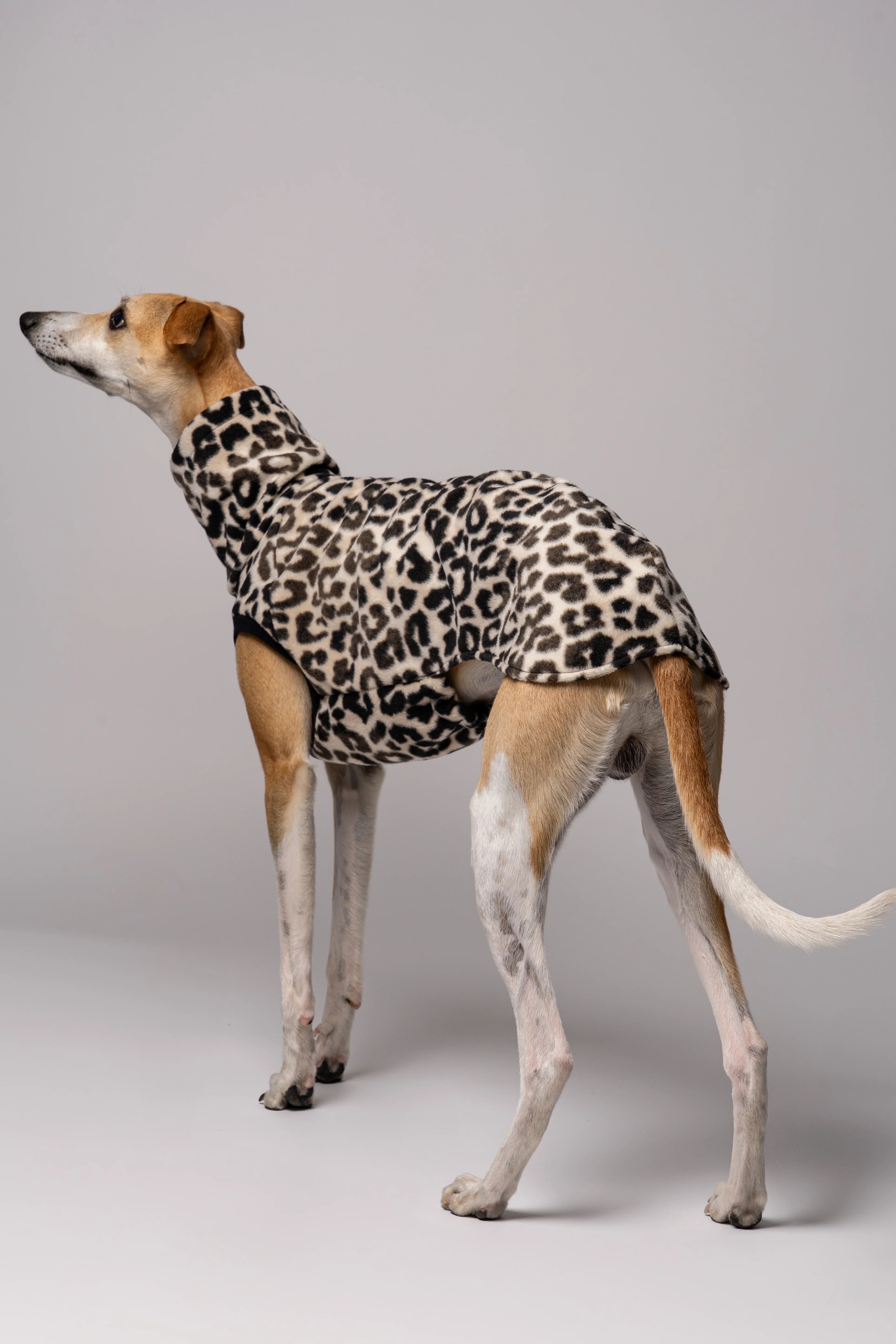 FLEECE SHIRT Windhund Leo - Image 9