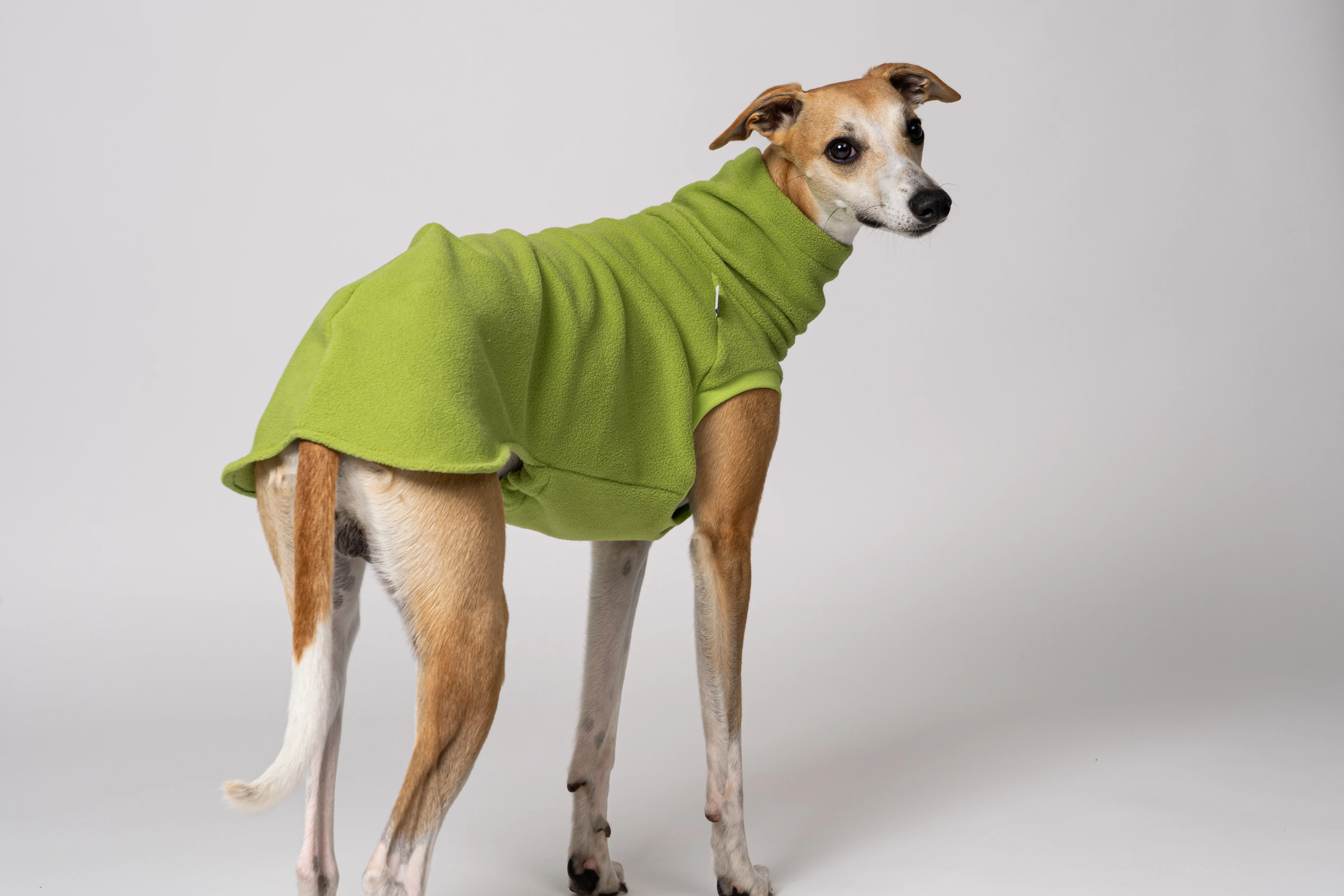 FLEECE SHIRT Windhund Light Green - Image 4