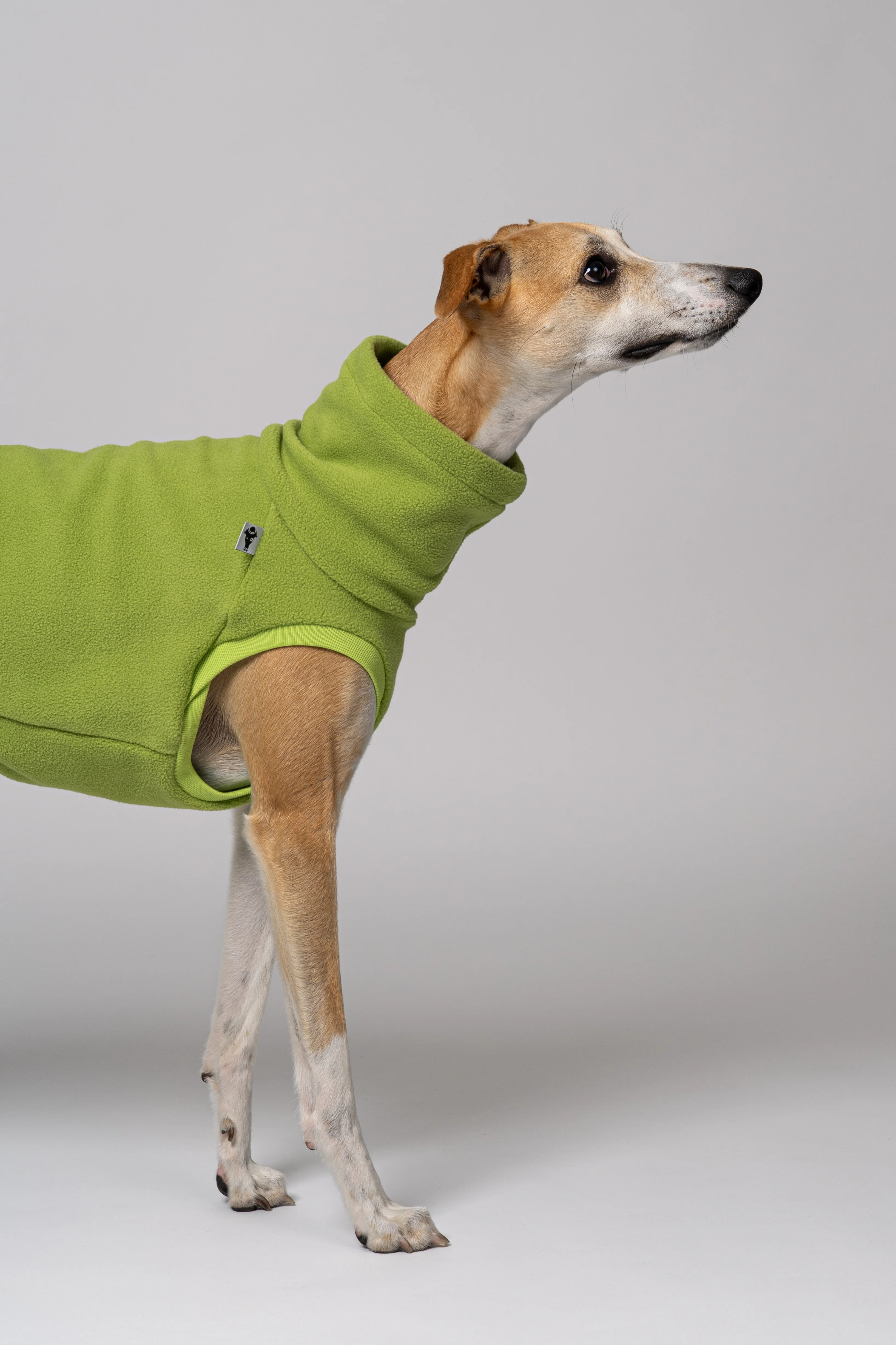 FLEECE SHIRT Windhund Light Green - Image 5