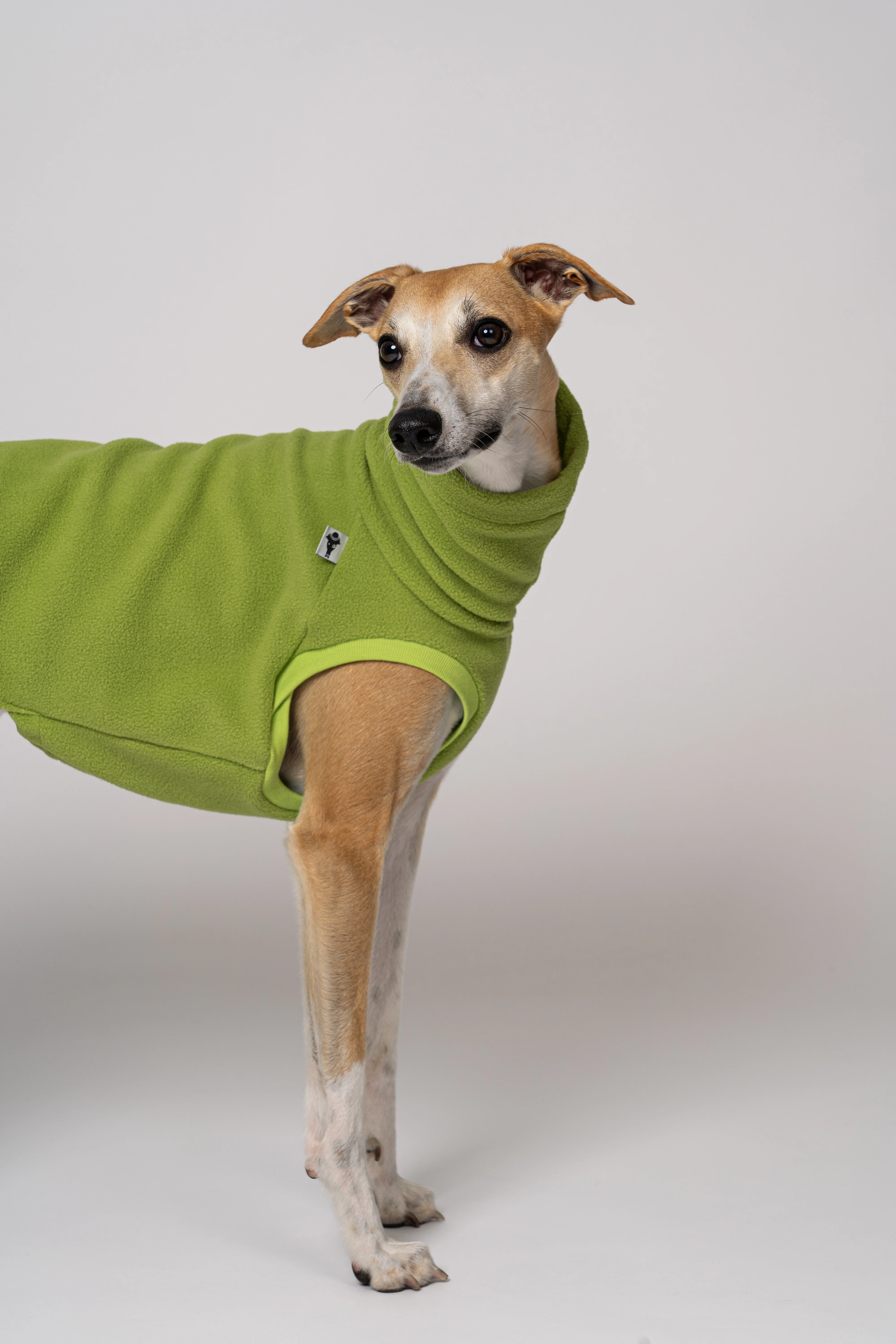 FLEECE SHIRT Windhund Light Green - Image 6